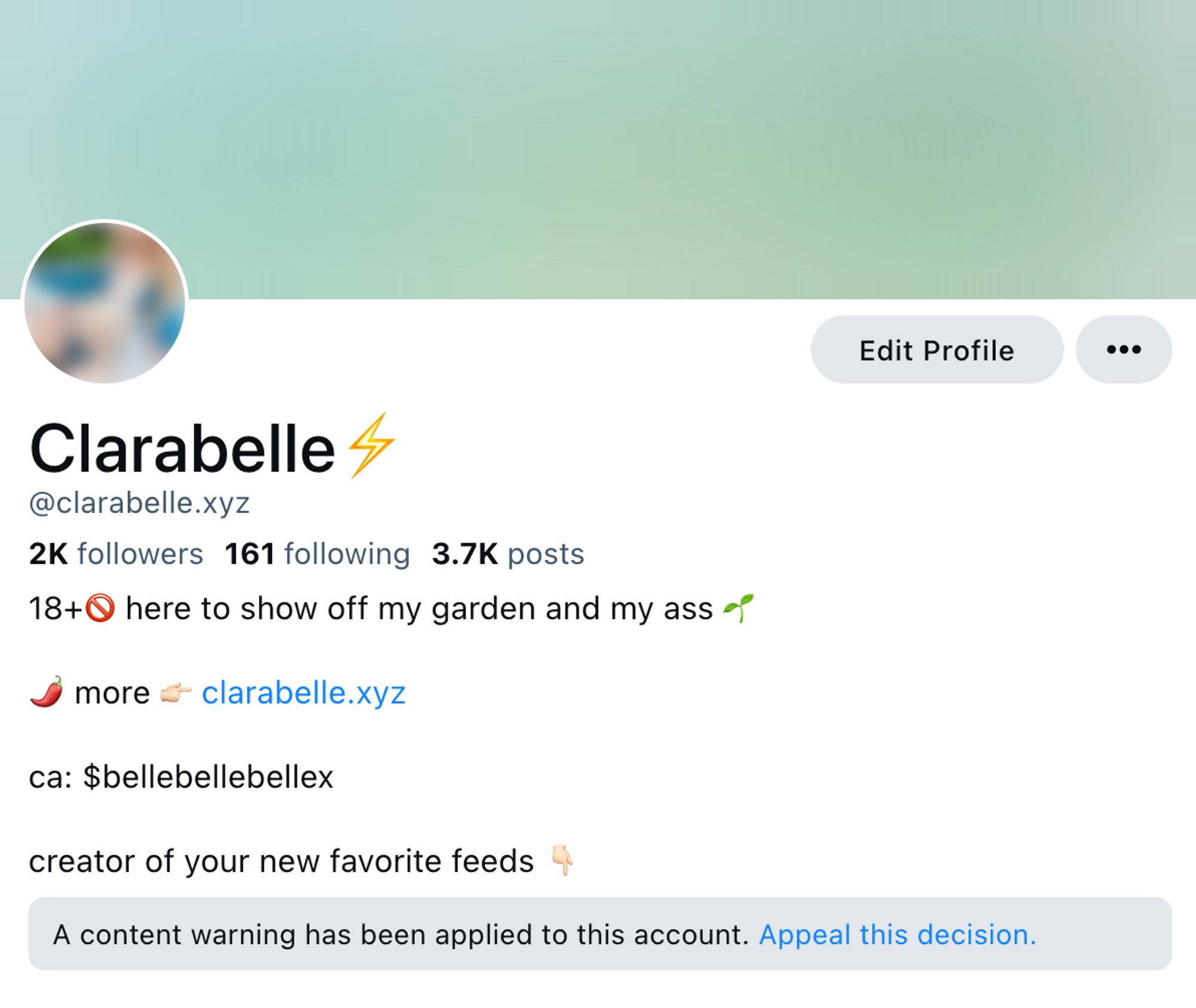 clarabelle's profile has been blurred out and given a content warning :(