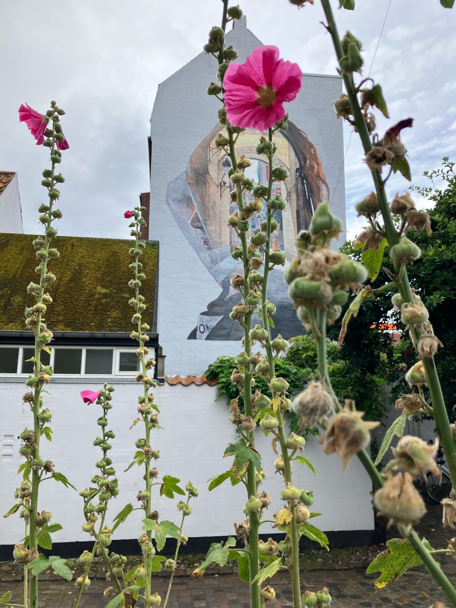 Im Vordergrund pinke Stockrosen, dahinter ein Gemälde an einer hohen Fassade. Das Gemälde zeigt eine Person im Profil, die die Hände hinter dem Kopf verschränkt.