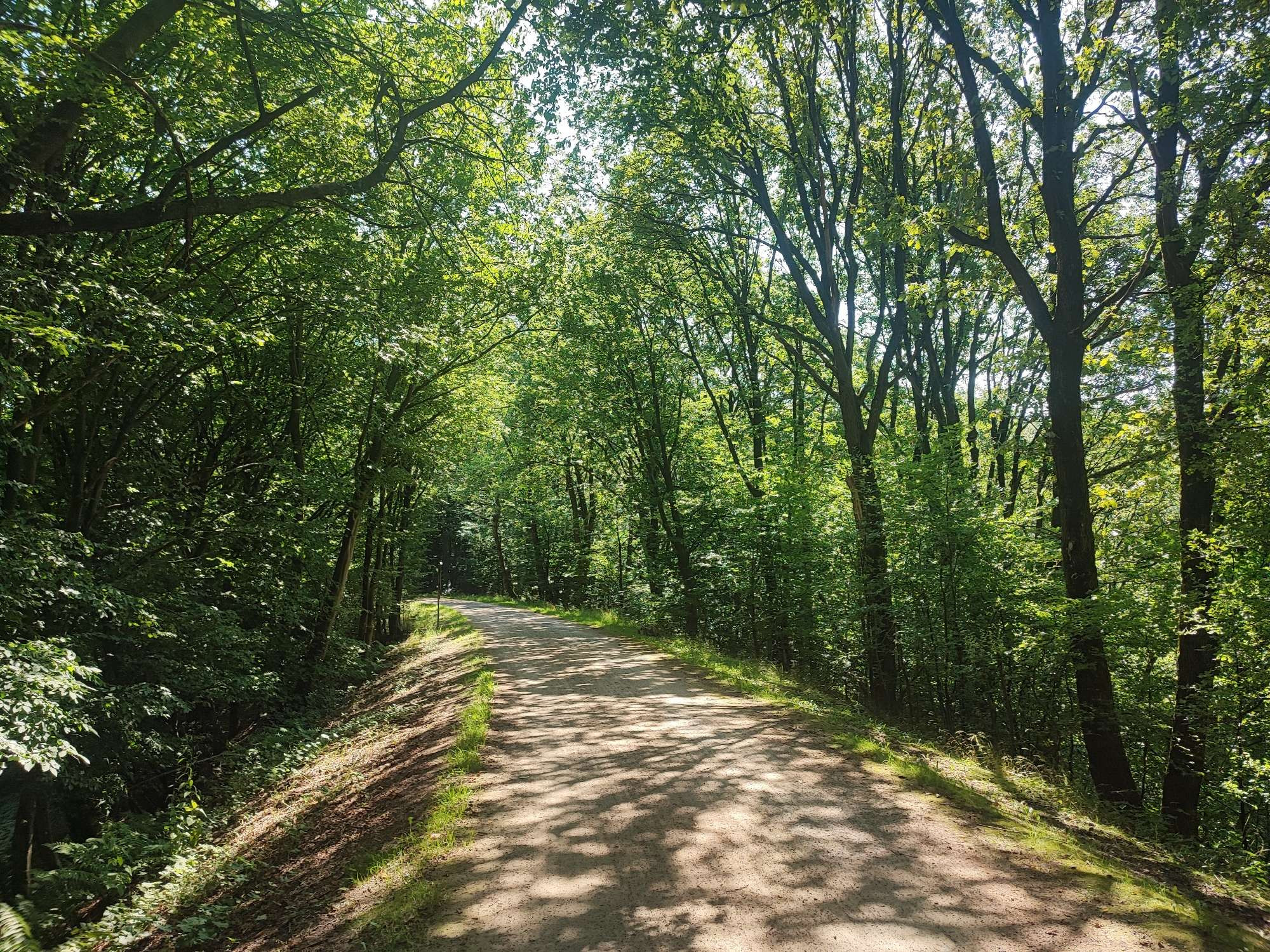 Der Kohlebahn von Schee nach Silschede.