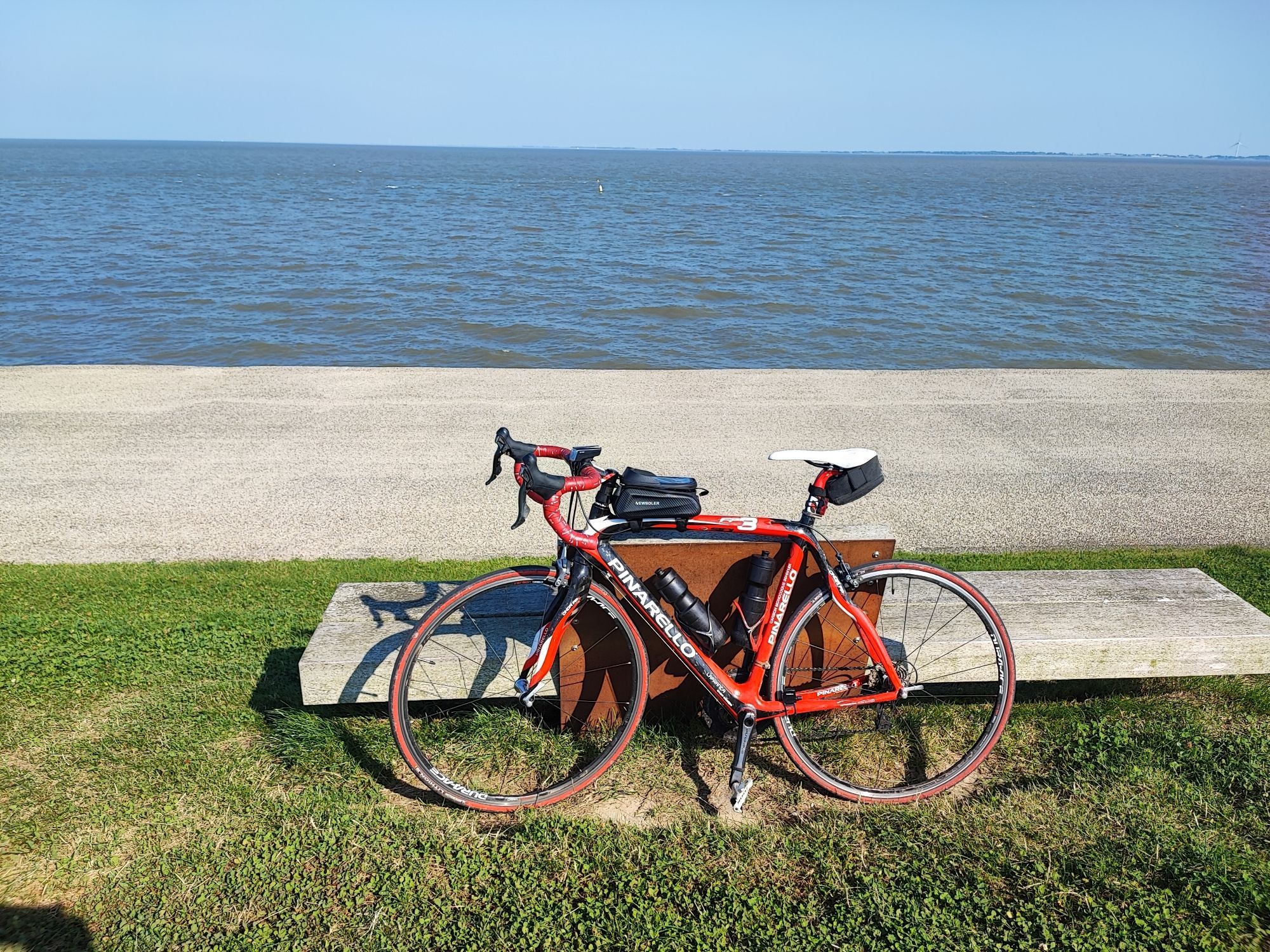 Mein Schwarze-rotes Pinarello Rennrad steht auf eine Wiese gegen die Rückseite von ein Bänkchen. Im Hintergrund ist die Mündung der Ems im Wattenmeer zu sehen.