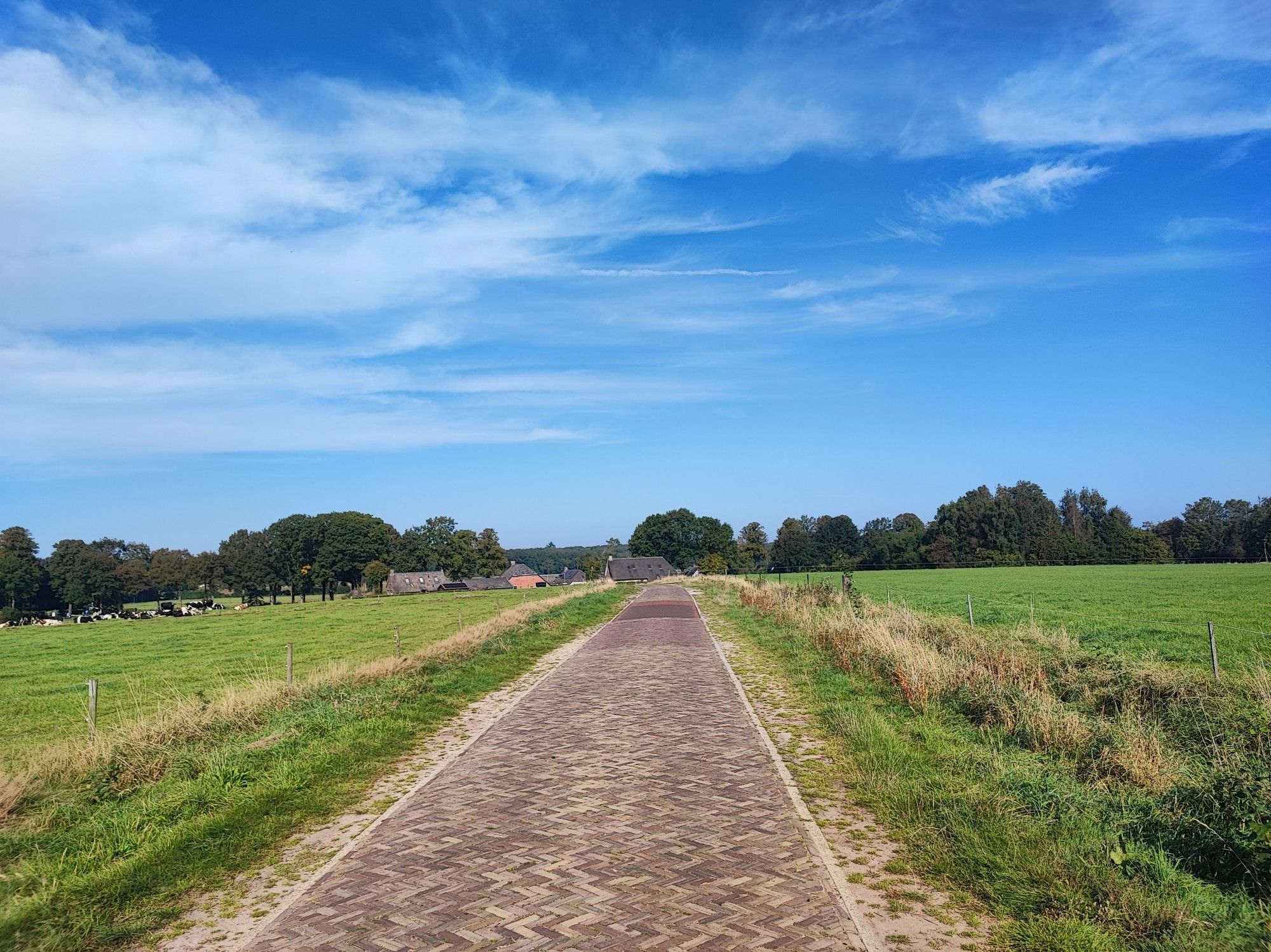 Eine Straße mit Kopfsteinpflaster Richtung Stadskanaal. Links und rechts sind Wiesen und im Hintergrund einen Bauernhof und Bäume zu sehen.