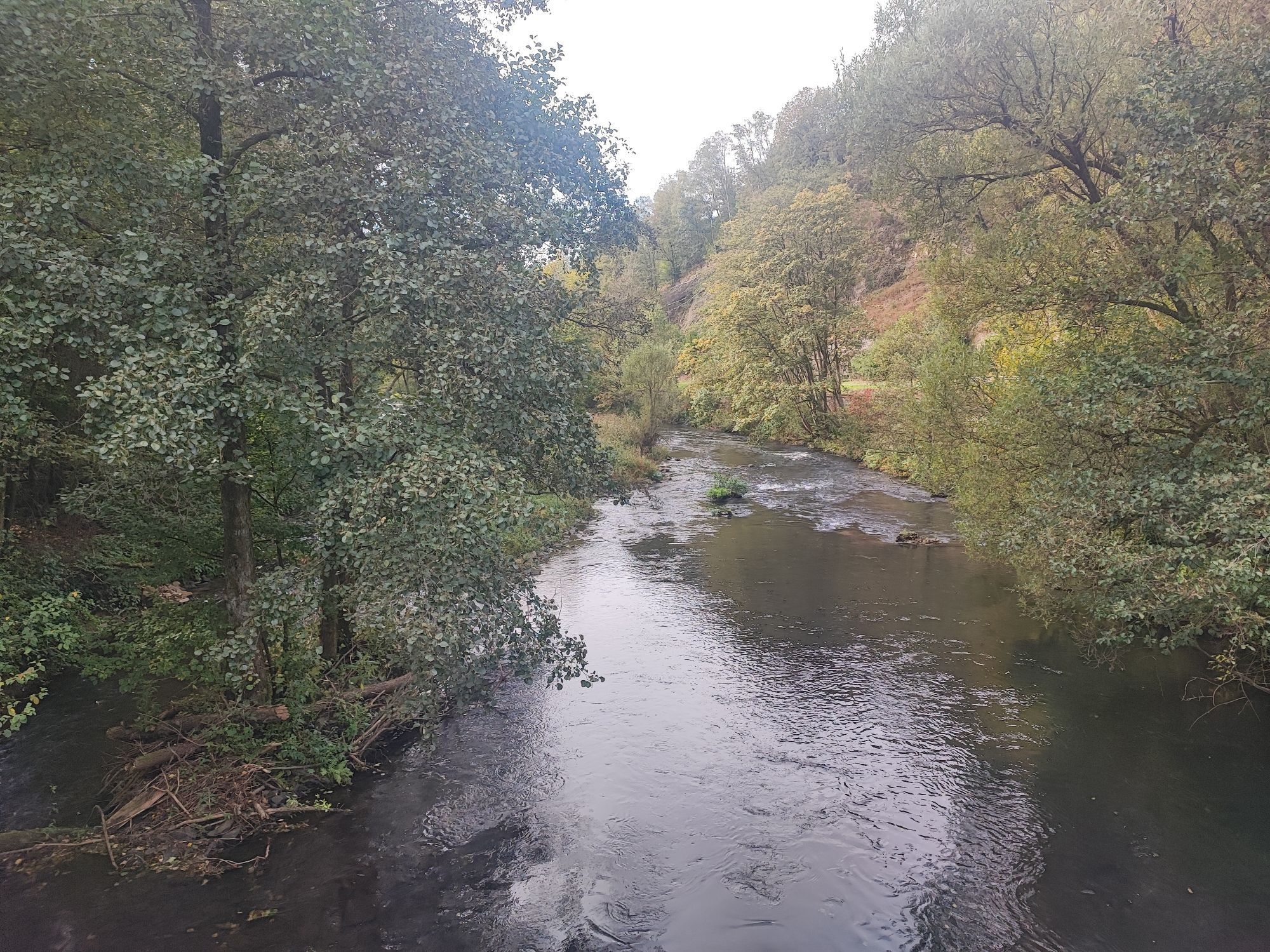 In der Mitte ist die Wupper zu sehen. Auf beide Ufer stehen Bäume.