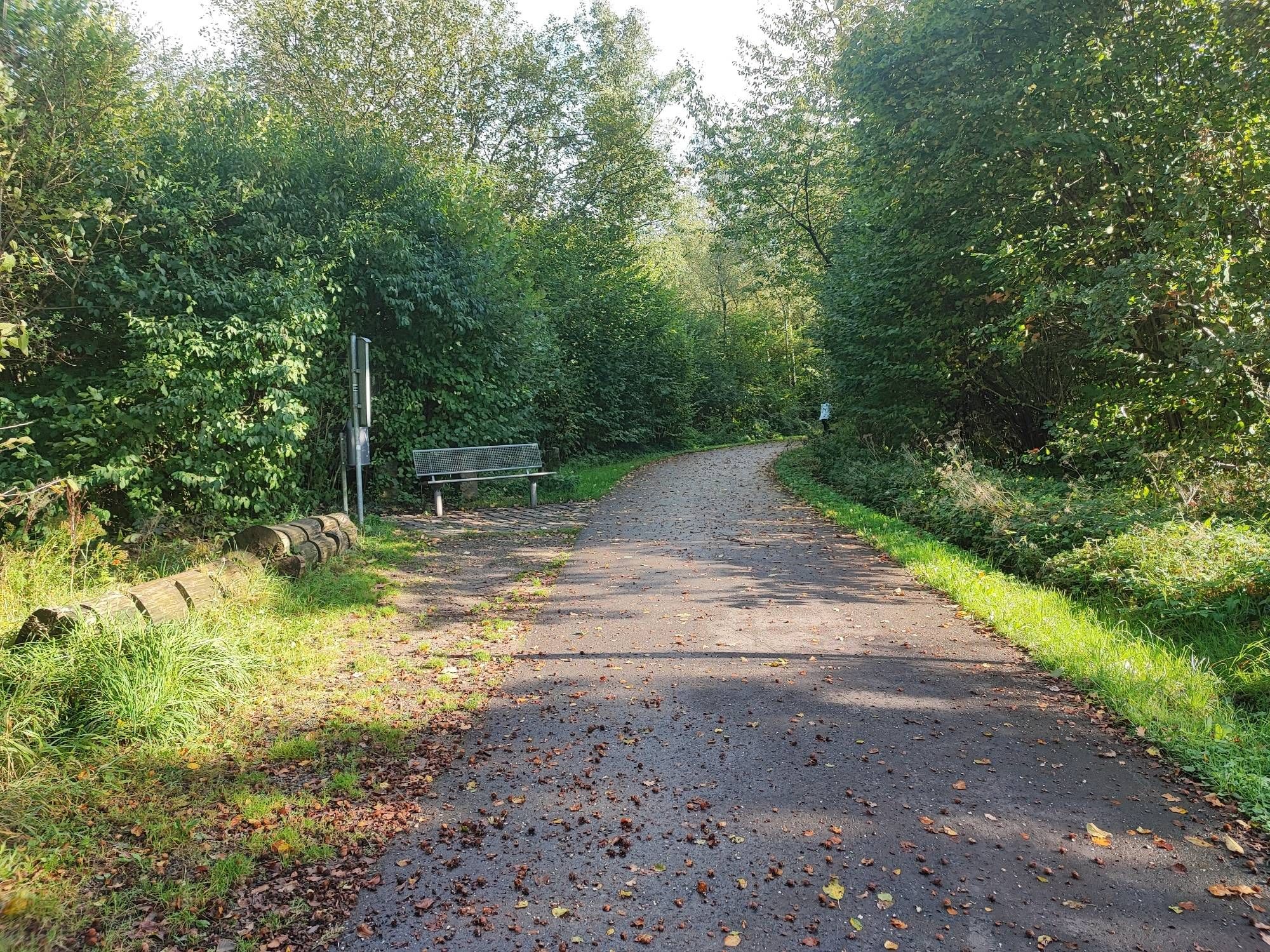 Die Nordbahntrasse zwischen der Schee Tunnel und Bahnhof Schee. An beiden Seiten sind Sträucher, Bäume und Wiesn zu sehen. Im Hintergrund steht ein Bänkchen.