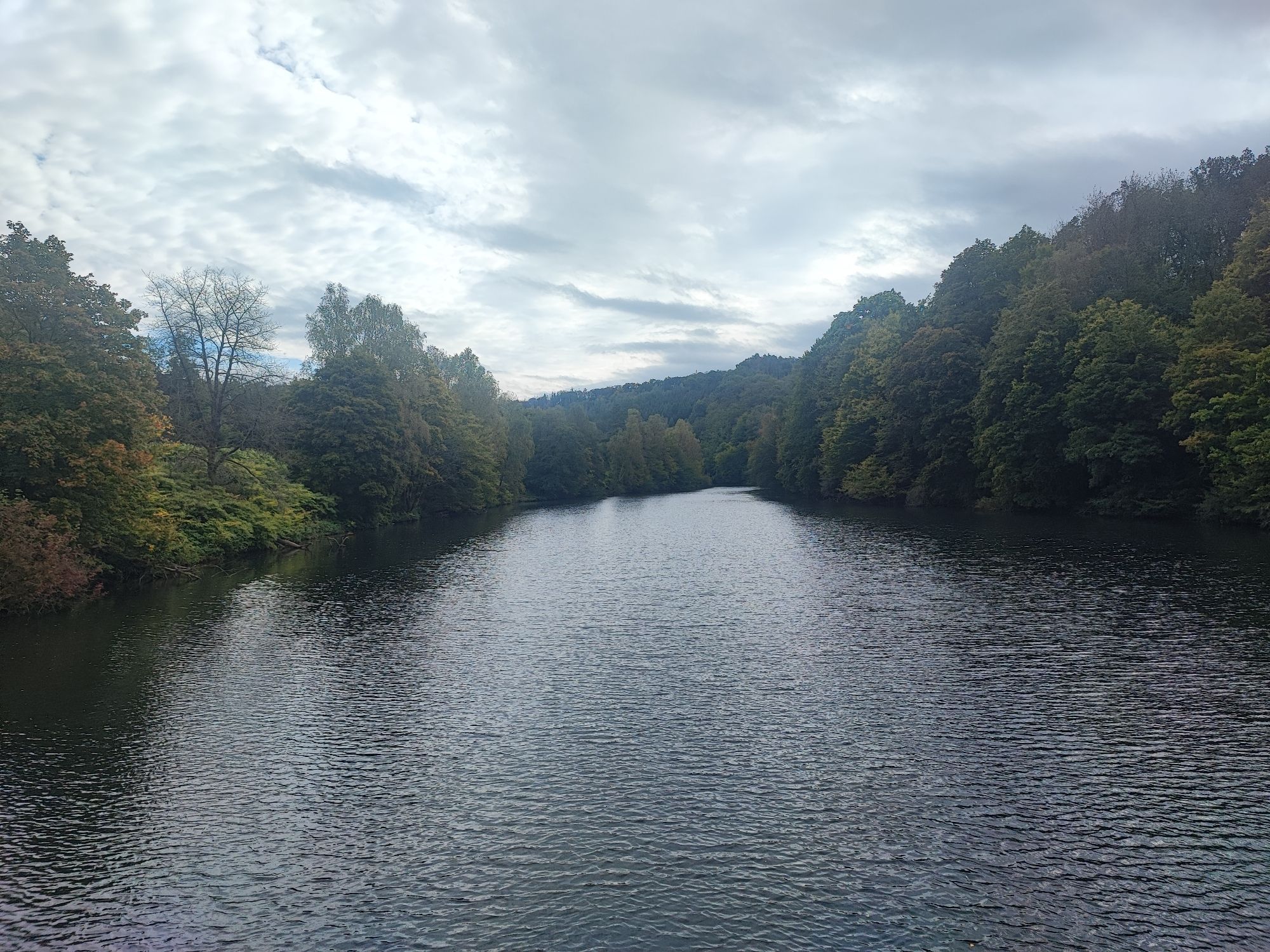 Der Beyenburger Stausee. An beiden Seiten sind Bäume zu sehen.