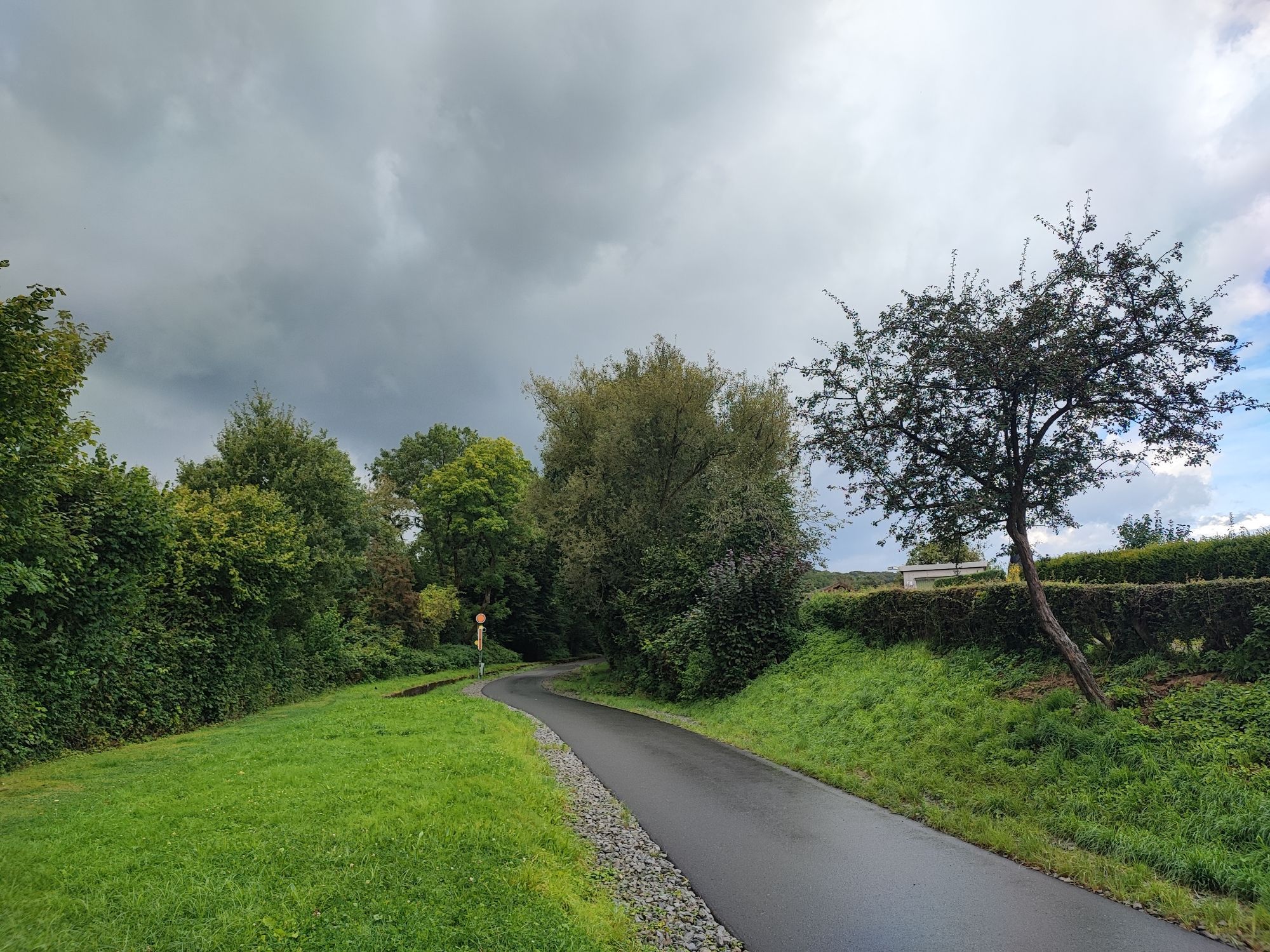 Regen auf der Nordbahntrasse bei Wuppertal Nächstebreck. Auf dem Bild ist der nassen Radweg und an beide Seiten sind Wiesen und Bäumen zu sehen. Der Himmel ist voller Regenwolken.