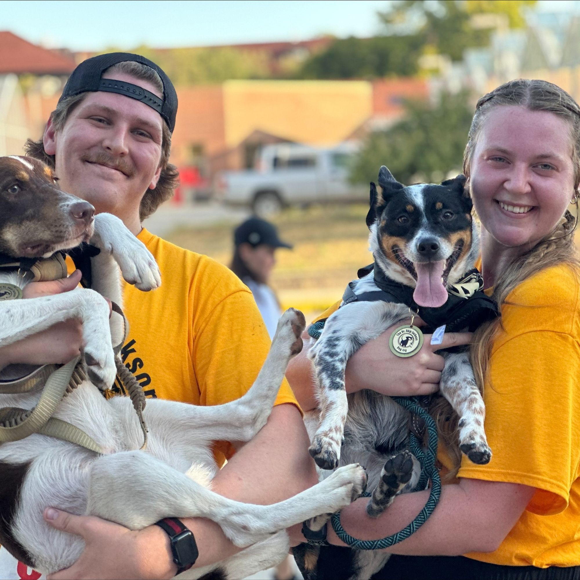 two people holding their dogs