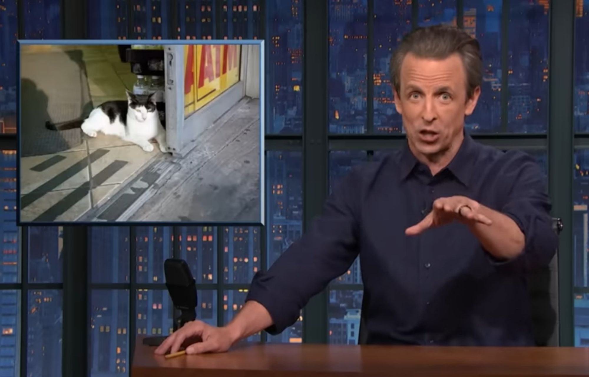 TV host Seth Meyers on the right showing a pic of a bodega cat on the left.  Seth was making reference to bodega energy.