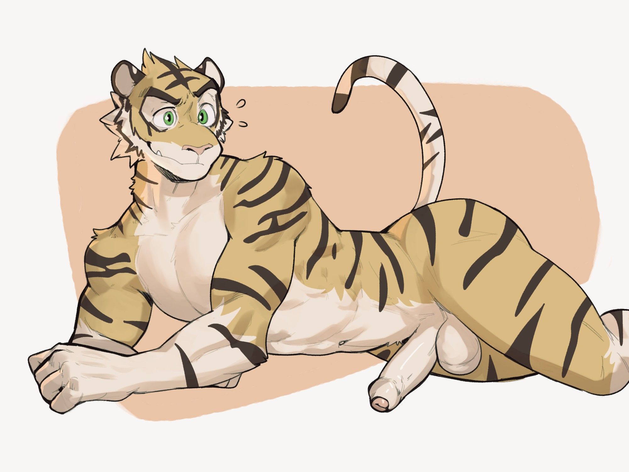 anthro tiger laying on stomach (DONG OUT)