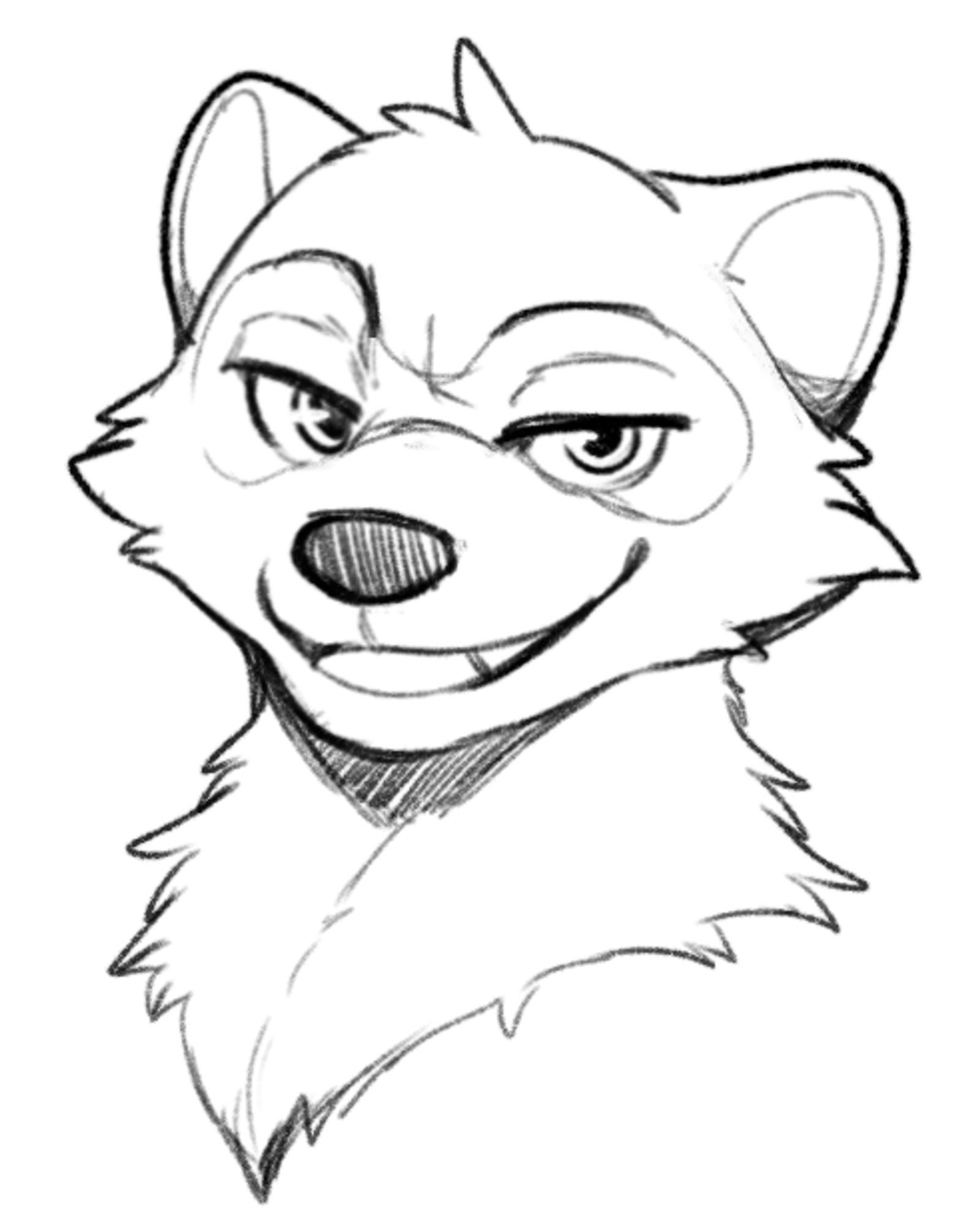 racoon face but in gay furry style