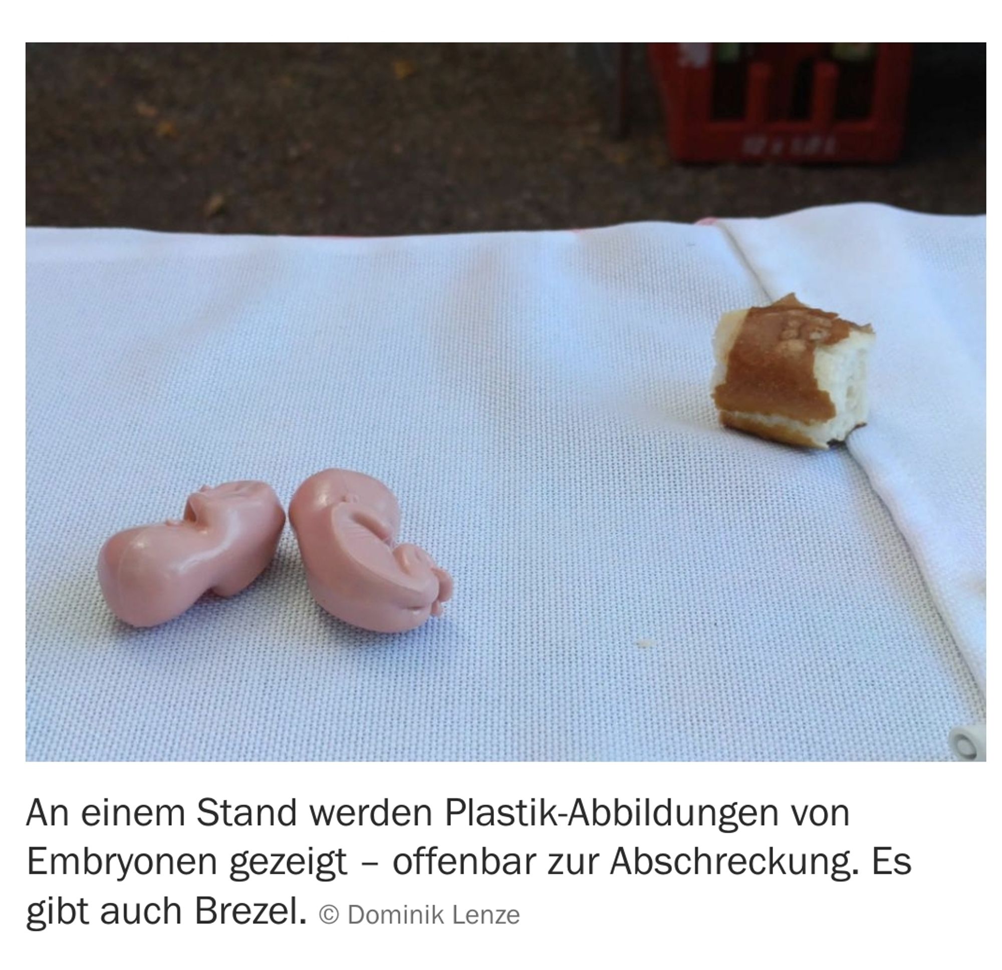 Foto: Auf einem weißen Tischtuch liegen zwei Schweinchenfarbene Plastikembryonen nebeneinander auf der linken Seite des Bilds. Rechts davon ein kleines angebissen Stück Brezel. Darunter die Bildunterschrift: "An einem Stand werden Plastik-Abbildungen von Embryonen gezeigt – offenbar zur Abschreckung. Es gibt auch Brezel. 

© Dominik Lenze"