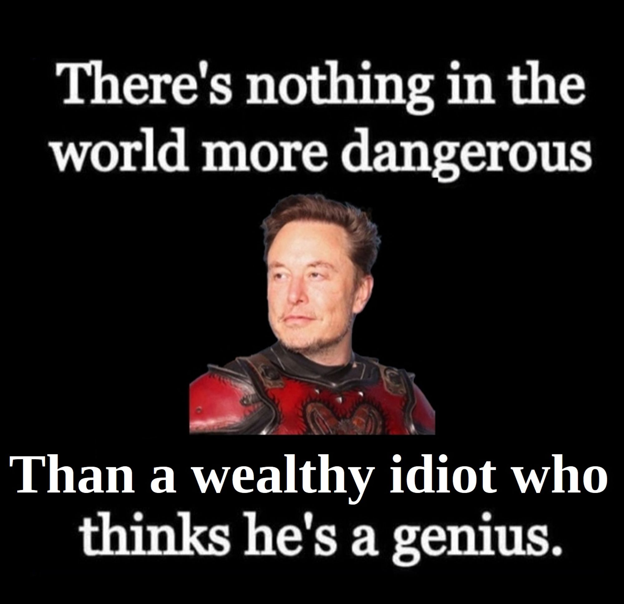 Musk wearing knight's armour. "There's nothing in the world more dangerous than a wealthy idiot who thinks he's a genius."