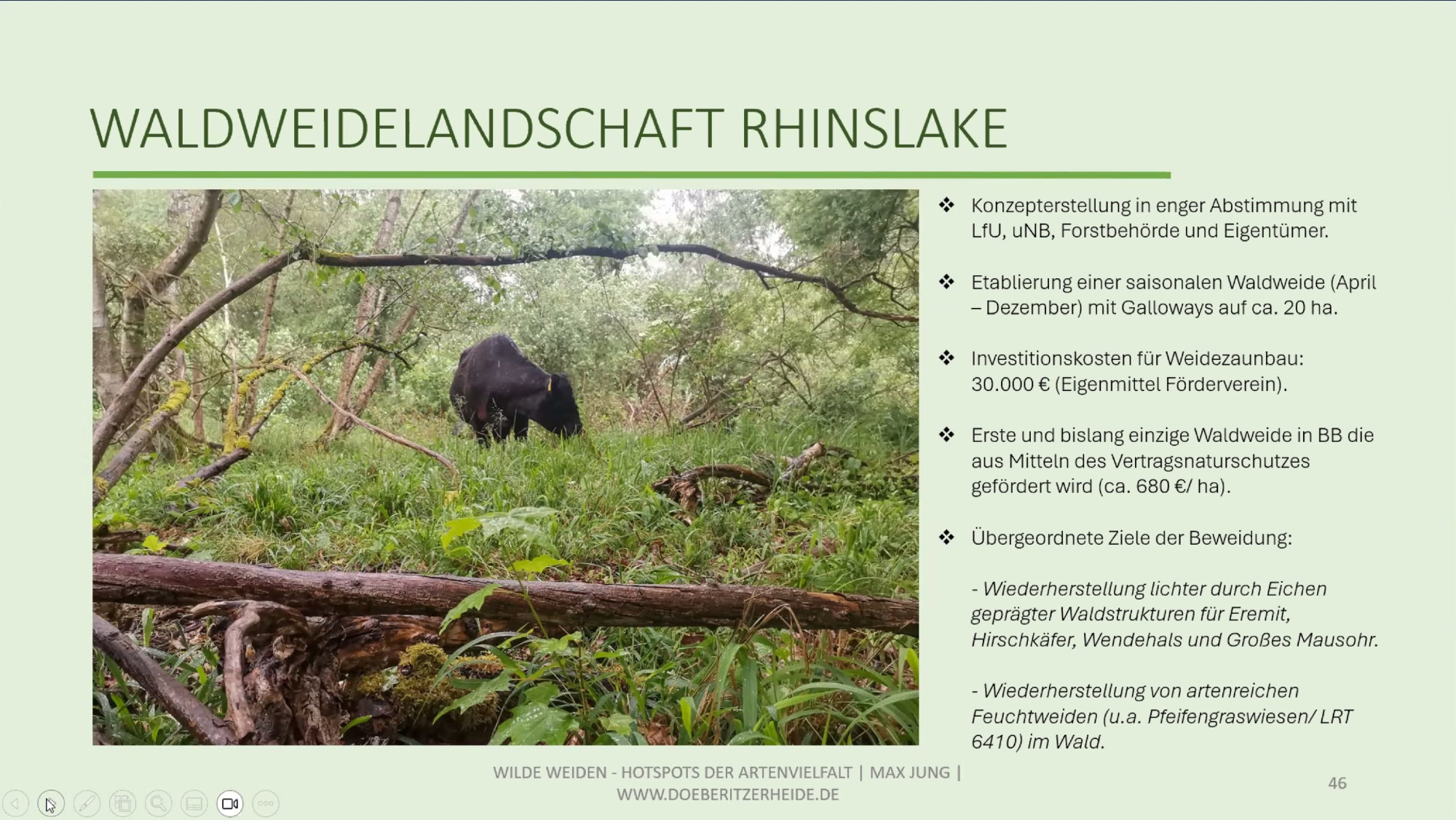 1 Vortragsfolie: "Waldweidelandschaft Rhinslake" mit glücklicher Kuh im grünen Wald.