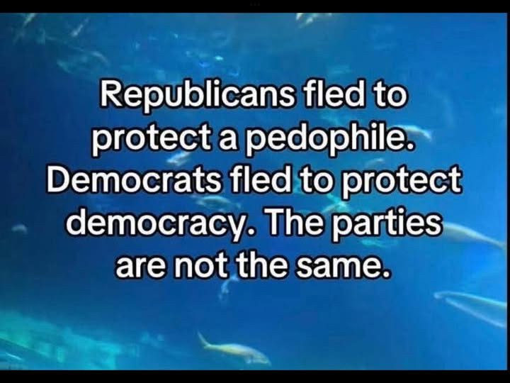 Blue background looks like an aquarium
The foreground has white font with a blackout line that says “Republicans fled to protect a pedophile. Democrats fled to protect democracy. The parties are not the same.”