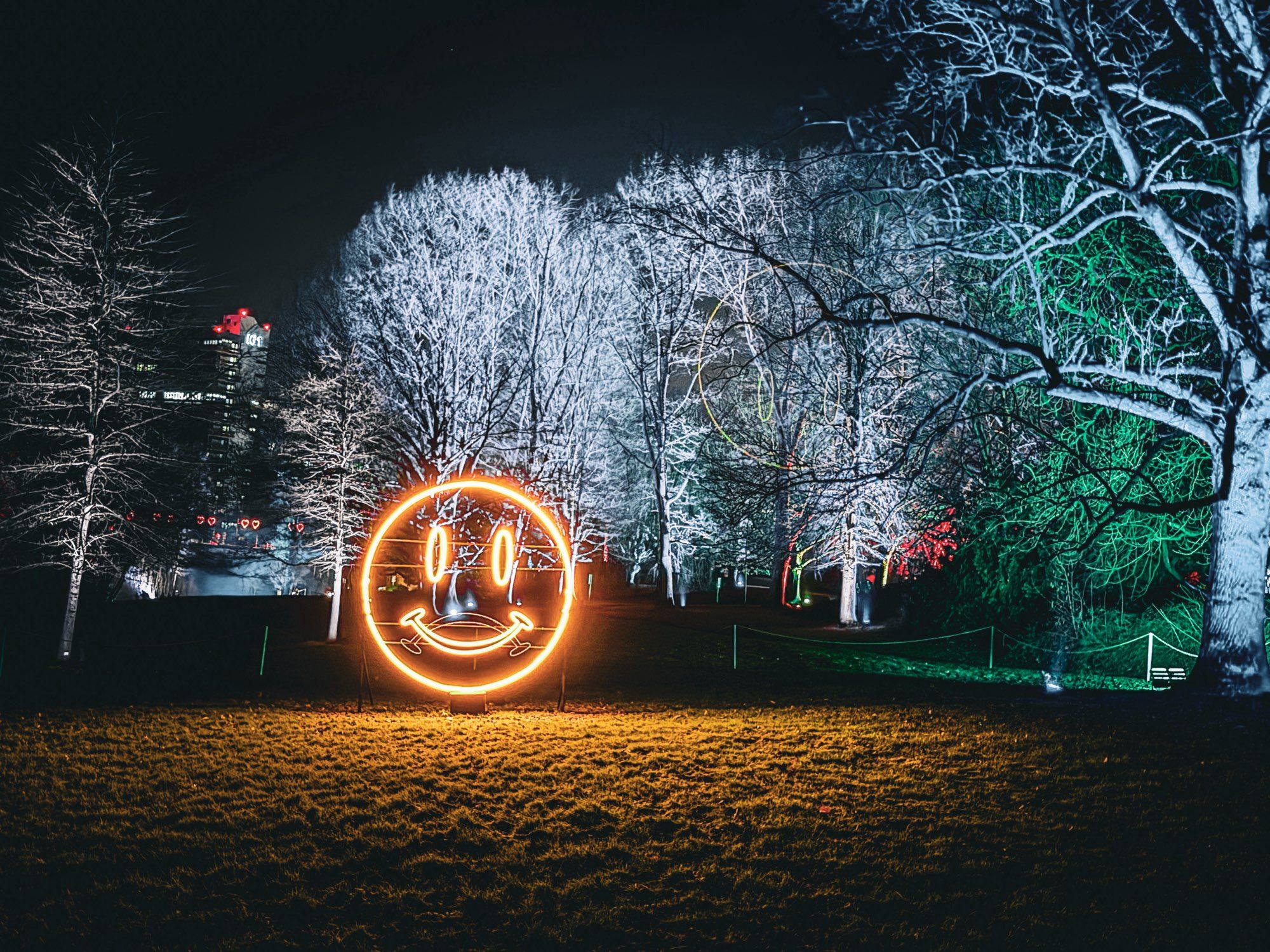 Eine Lichtinstallation, die ein Smiley zeigt, erleuchtet die Nacht.