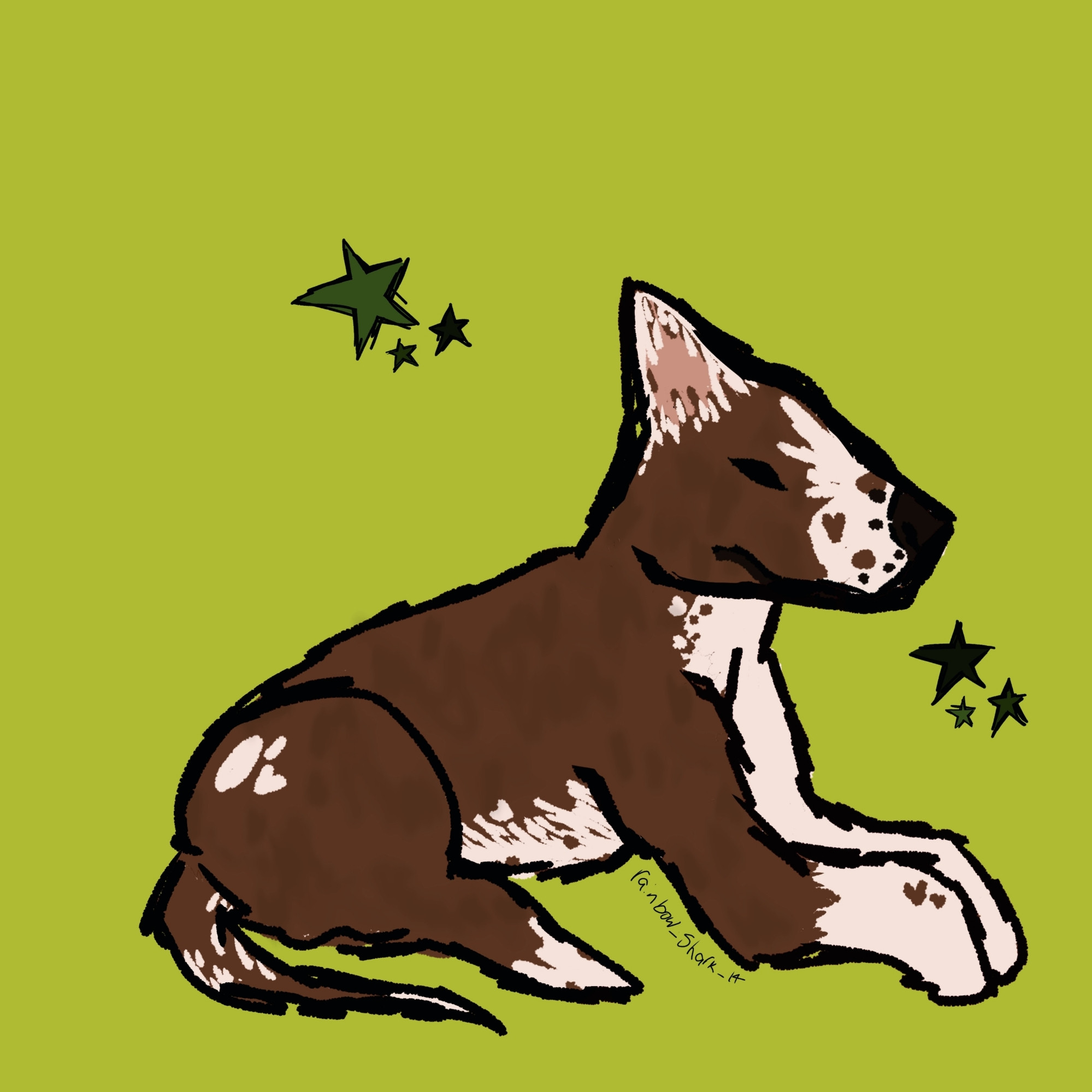 Digital drawing of border Collie dog on green background with stars, dog has white patches and brown fur with faint brindle