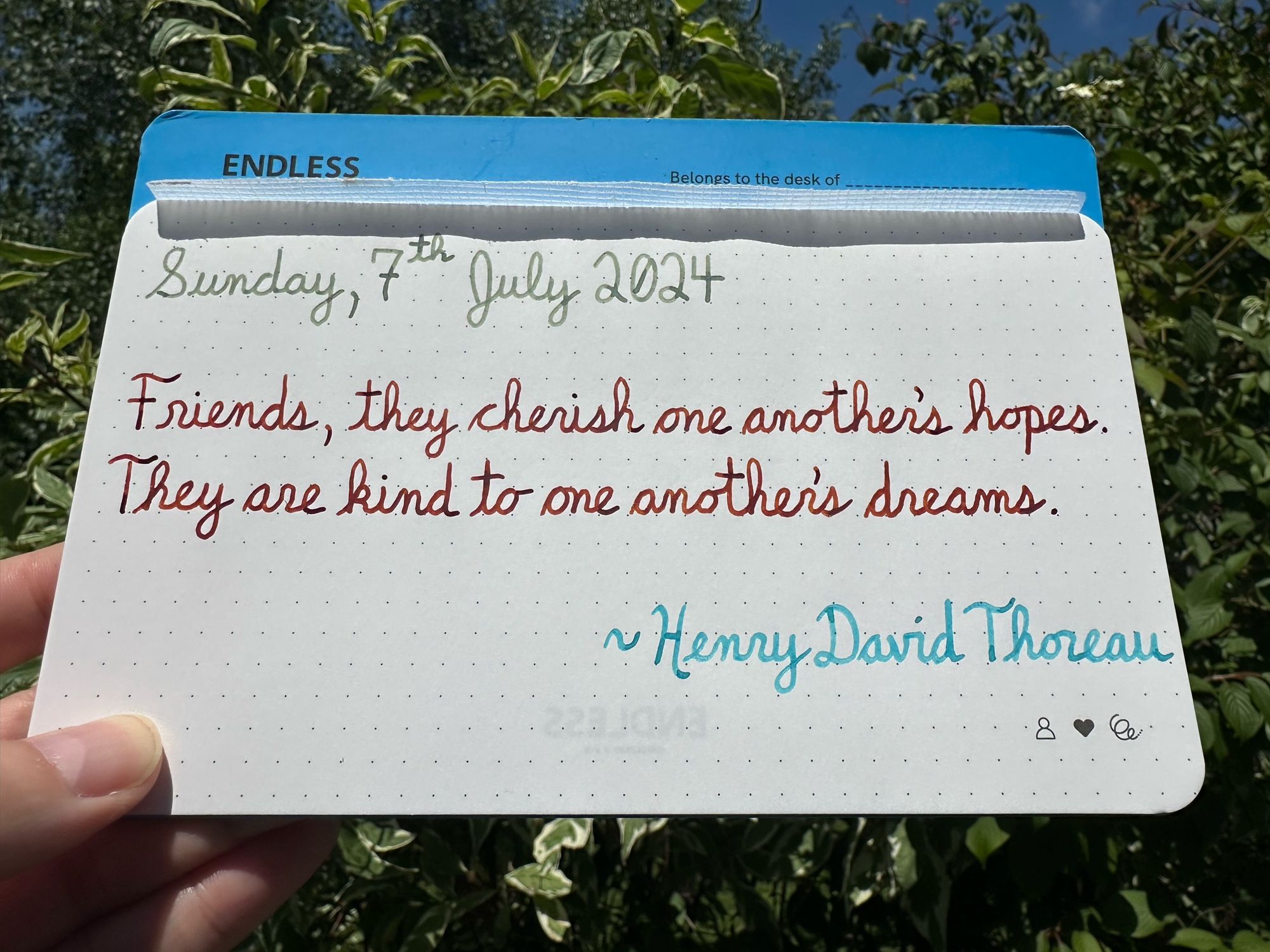 A pen quote of Henry David Thoreau that reads, “Friends, they cherish one another's hopes. They are kind to one another's dreams.”

Written in Wearingeul inks: The Adventures of Tom Sawyer & Robinson Crusoe, along with Dominant Industry Ginger Chicken.