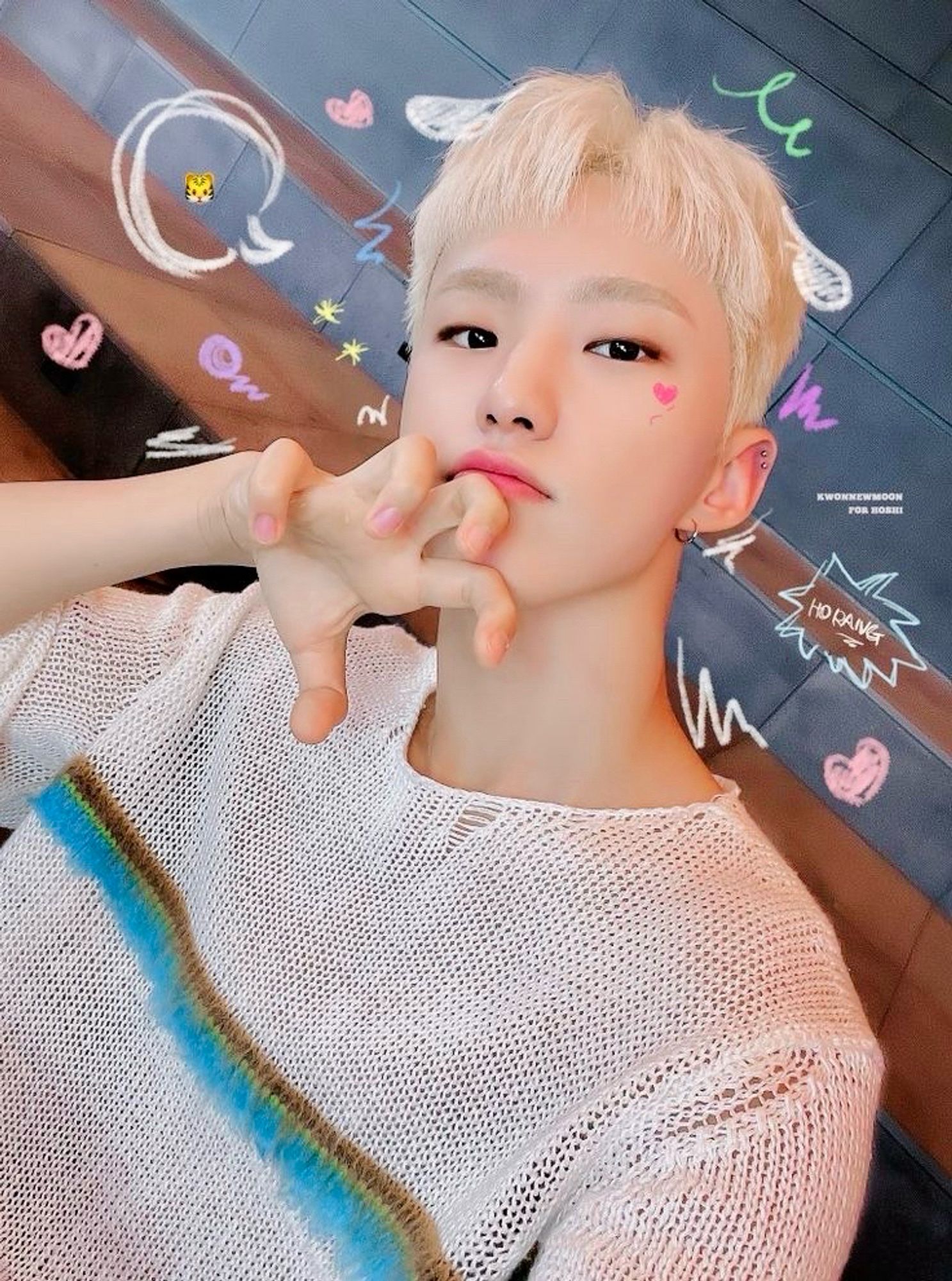 Hoshi horanghae