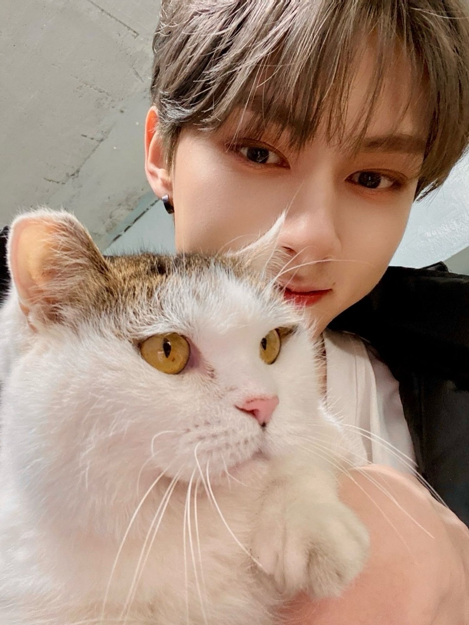 Junhui and cat