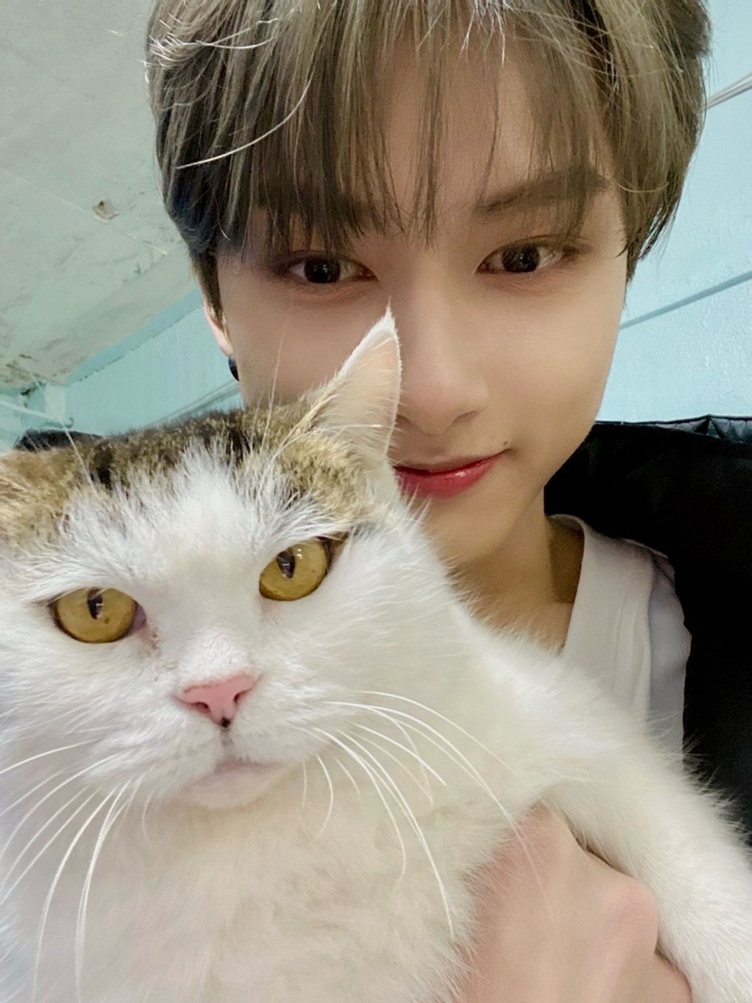 Junhui and cat!