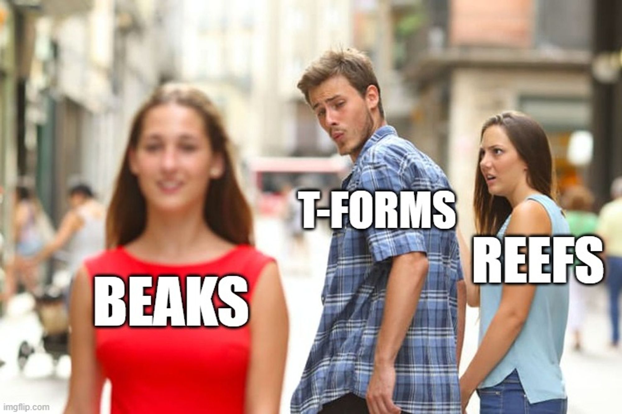 The "Man looks at other women" meme. The man is labeled "T-forms" and the women on the left is "beaks" and the woman on the right is "reefs"