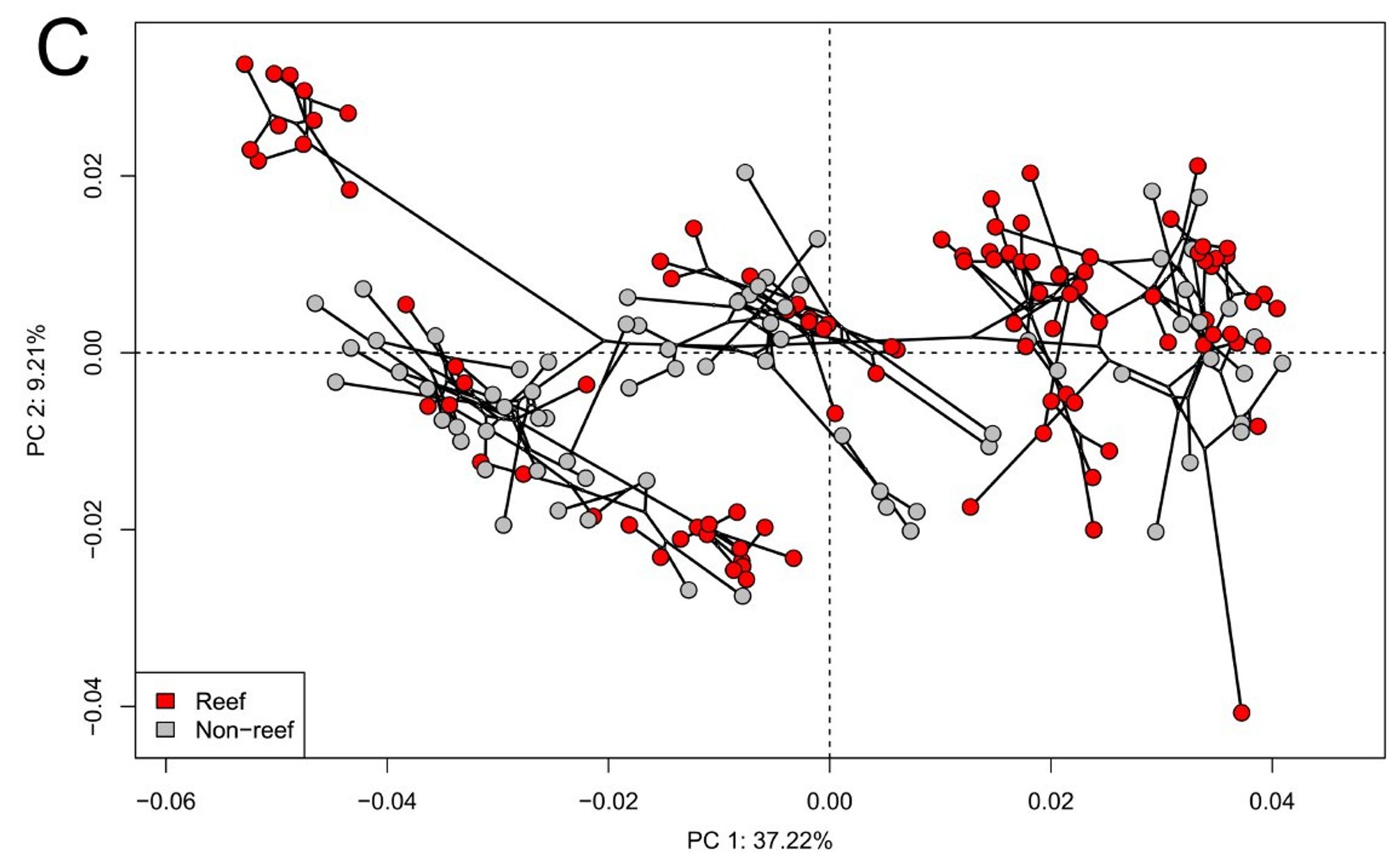 Another phylomorphospace of 176 species of tetraodontiform fishes. Red colors are reef-associated species, while grey is non-reef.