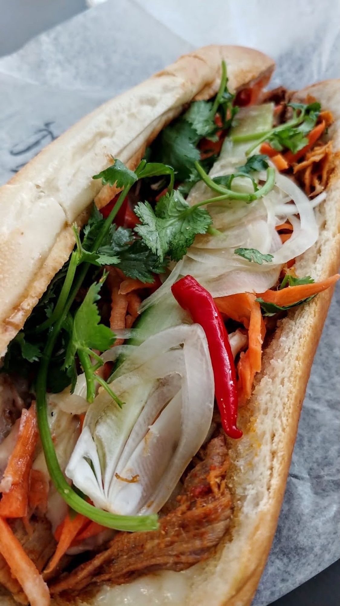 It’s a “super chicken and beef” banh mi (Vietnamese sub). It’s got chicken, beef, cilantro, pickled carrots, pickled white onions, cucumber, red chilis, pate, and what I’m pretty sure is kewpie mayo, toasted on a fresh bun.