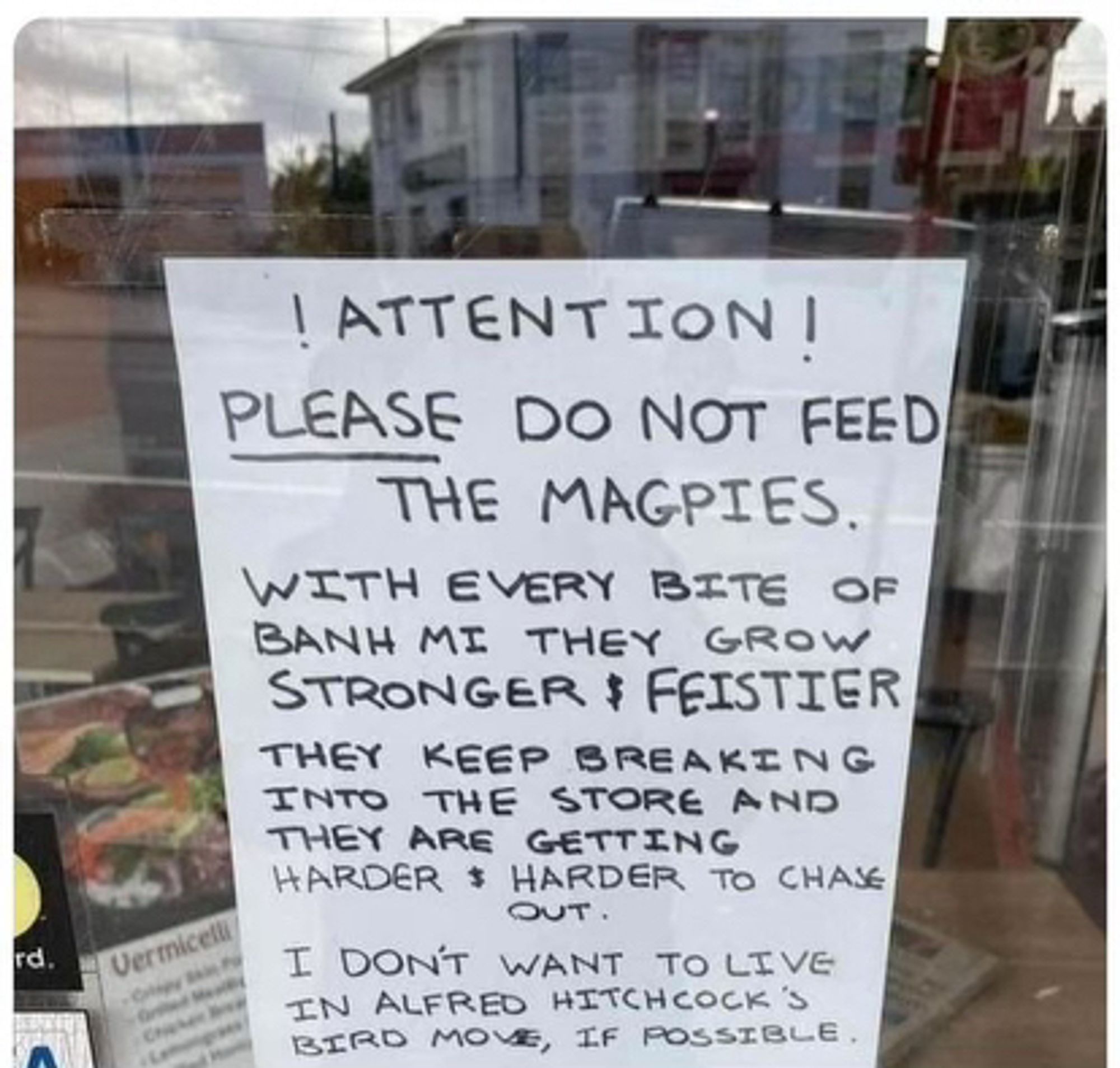 A sign in a window that reads:

ATTENTION!
PLEASE do not feed the magpies. 

With every bite of banh mi they grow stronger & feistier. 

They keep breaking into the store and they are getting harder and harder to chase out 

I don’t want to live in Alfred Hitchcock’s Bird movie, if possible