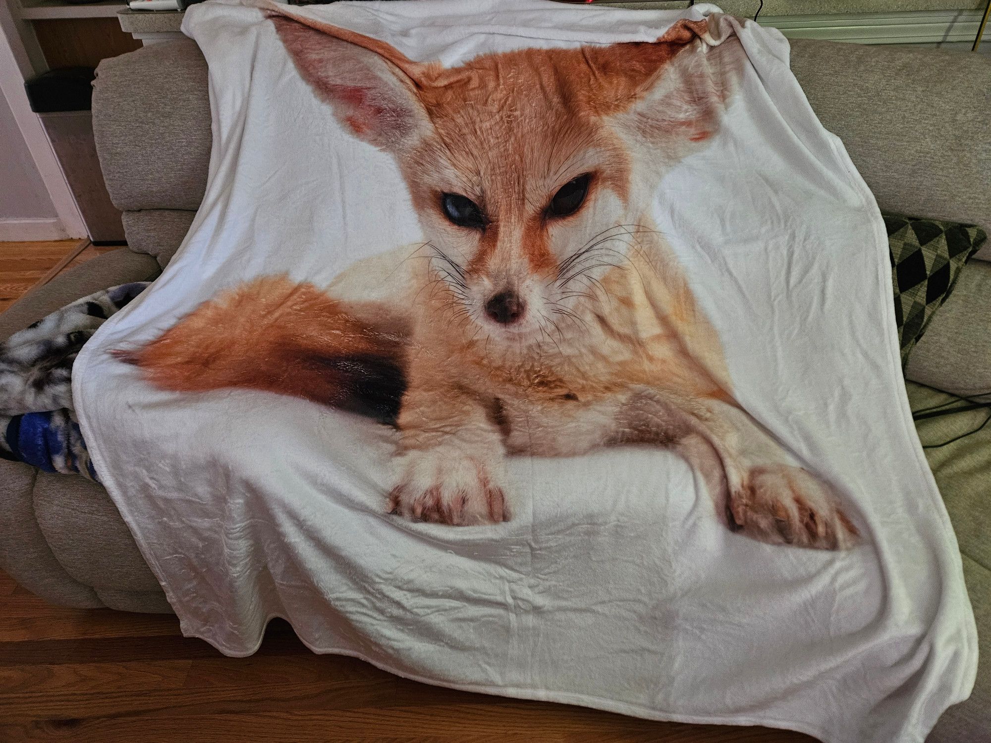 A white blanket draped over a couch. The graphic on the blanket is a fennec fox staring intently forward with its paws stretched out. The fennec is roughly the size of a mountain lion