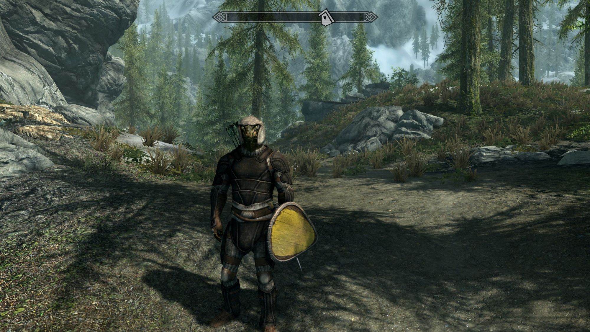 It's a skyrim argonian (lizard people) with a shield wearing this leather armor from one of my mods. I probably took it off a bandit or something