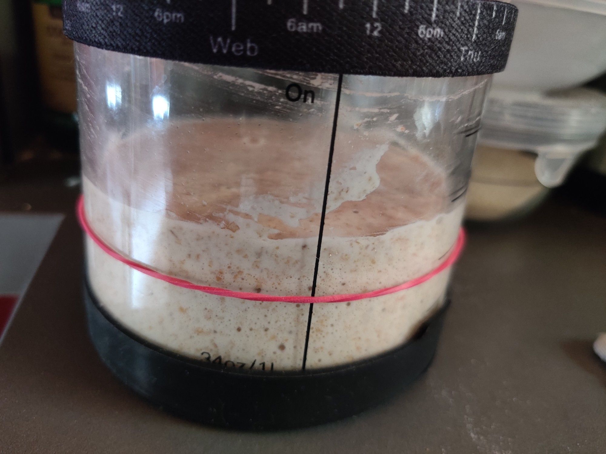 Active sourdough starter rising, side view