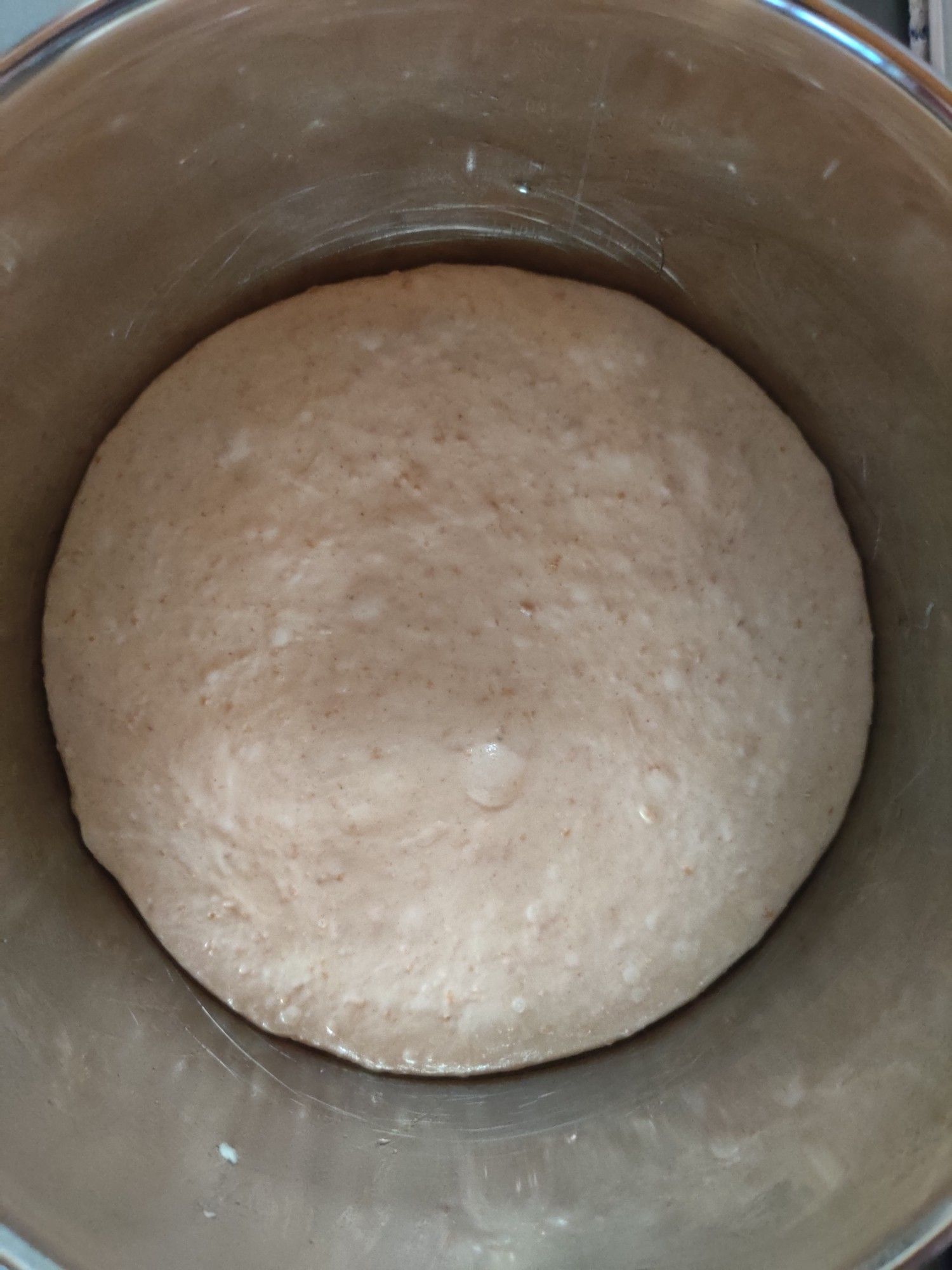 Dough during rise stage