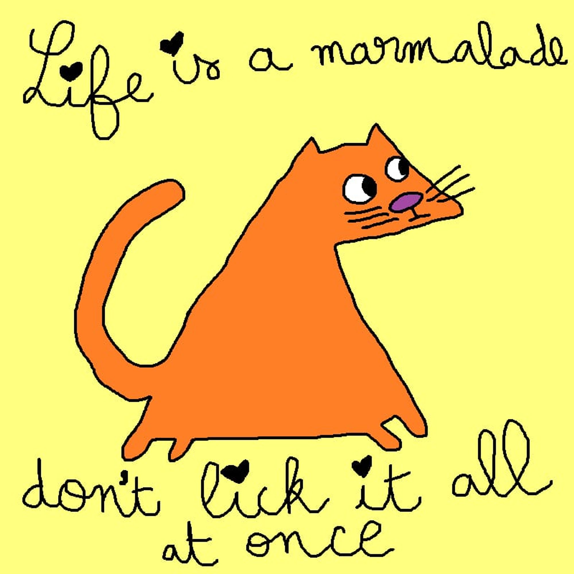 orange kitty with the text " life is a marmalade , don't click it all at once "