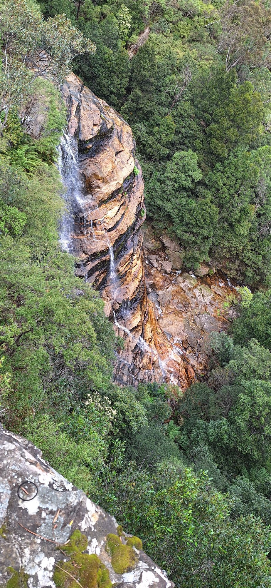 Katoomba, Blue Mountains, New South Wales, Australia:
waterfall flowing aacross ragged rocks, surroundet by green trees and plants