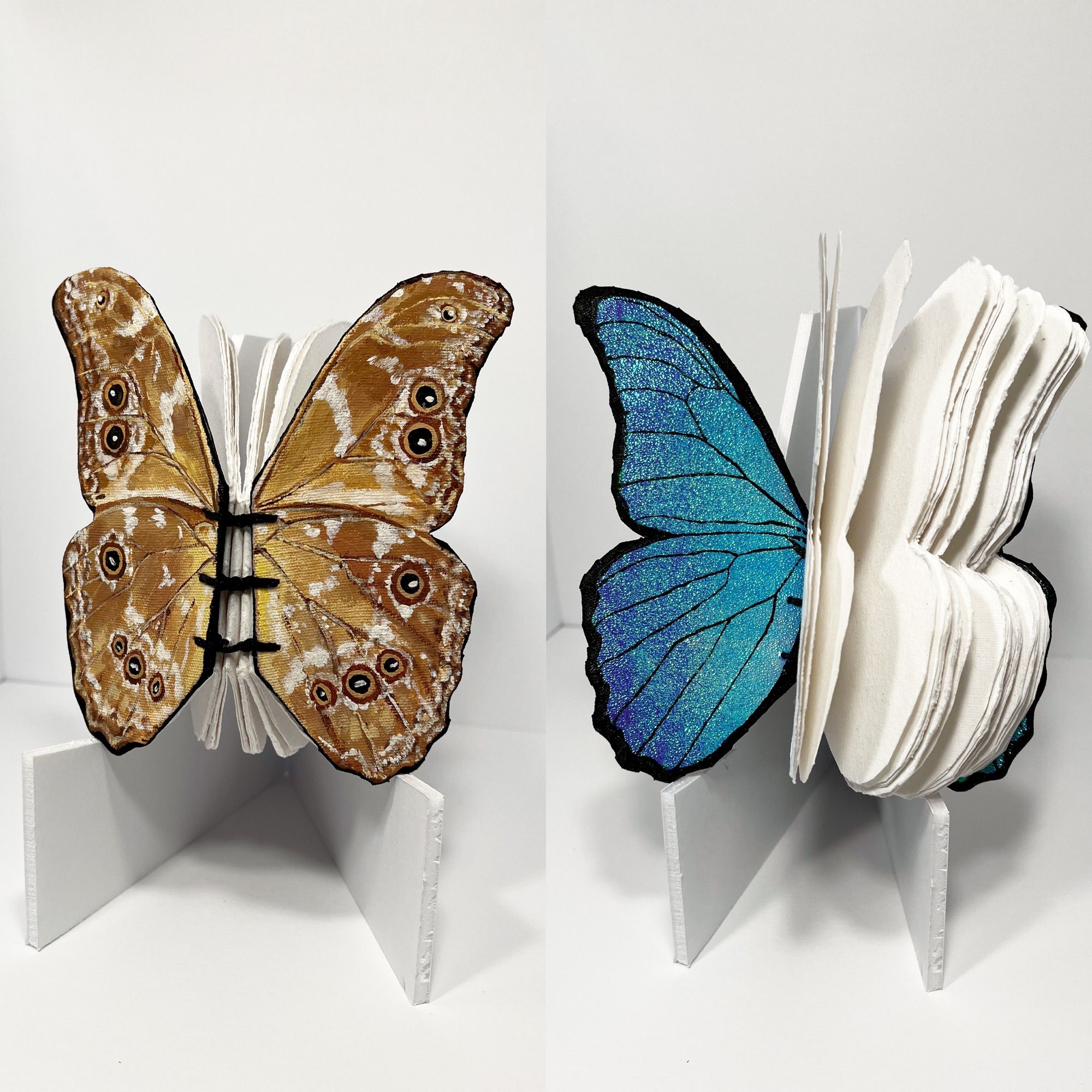 two viewpoints of a hand-bound book shaped and designed to emulate a morpho didius butterfly. The covers are shaped like wings, and the paper inside is white and recycled.