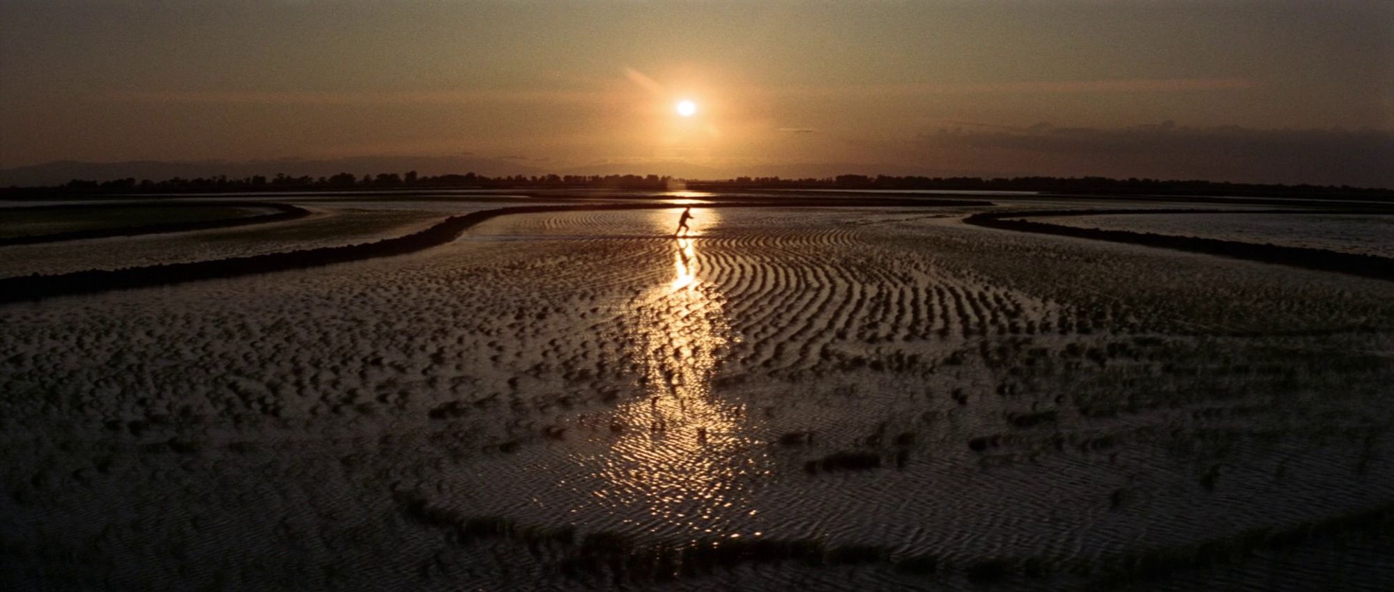 Long shot of Bubber Reeves running across a rice field, silhouetted by the sunset. Screenshot from The Chase (1966).