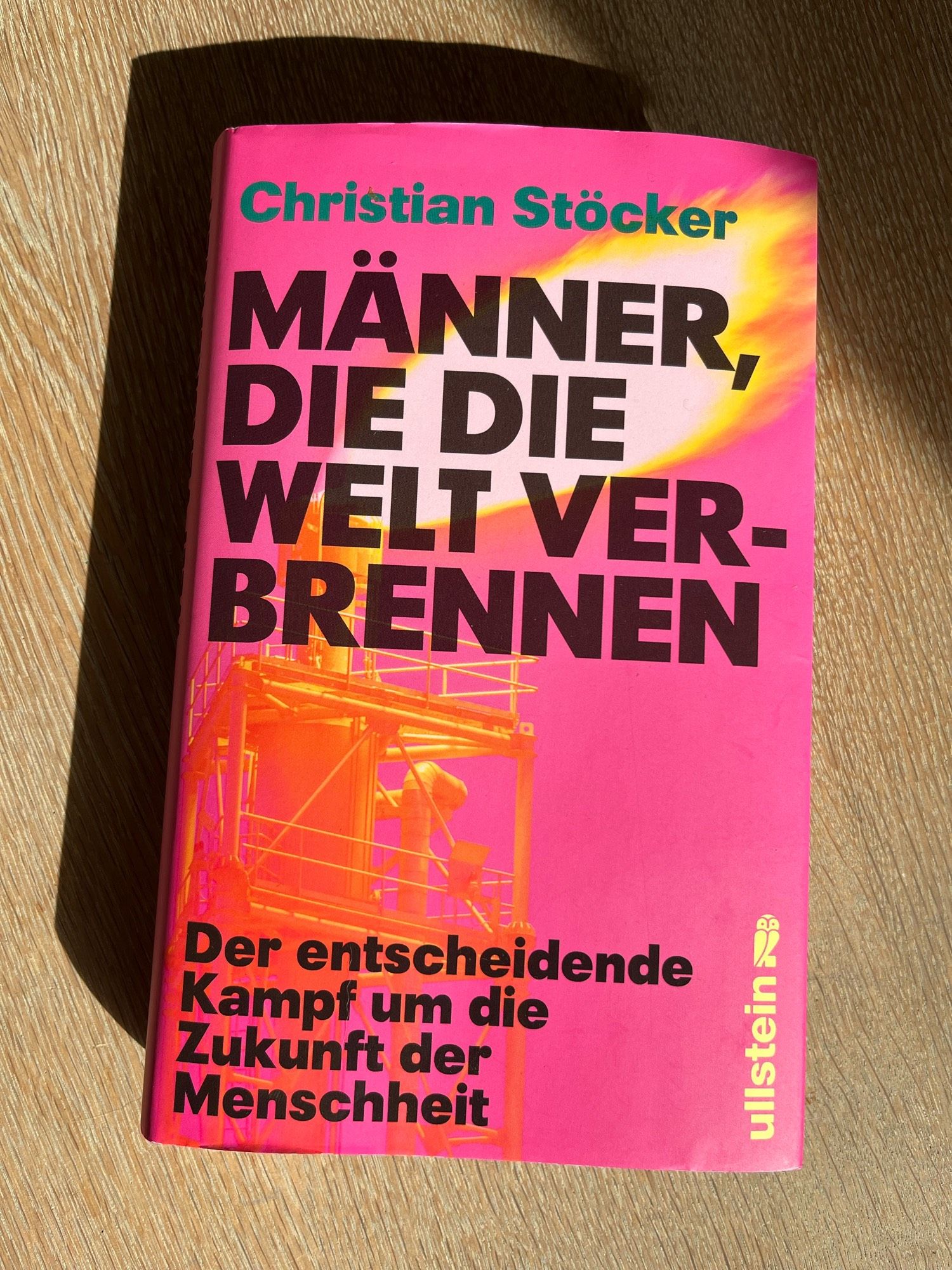 Buchcover: Christian Stöcker, Männer, die die Welt verbrennen - der entscheidende Kampf um die Zukunft der Menschheit.