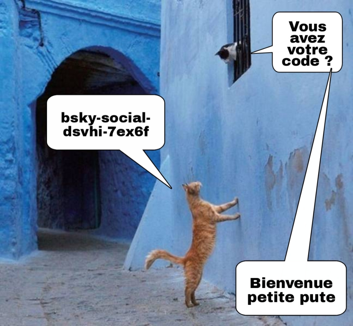 Sur fond de ruelle en bleu, un chat donne son code Bluesky à un autre chat qui valide son inscription