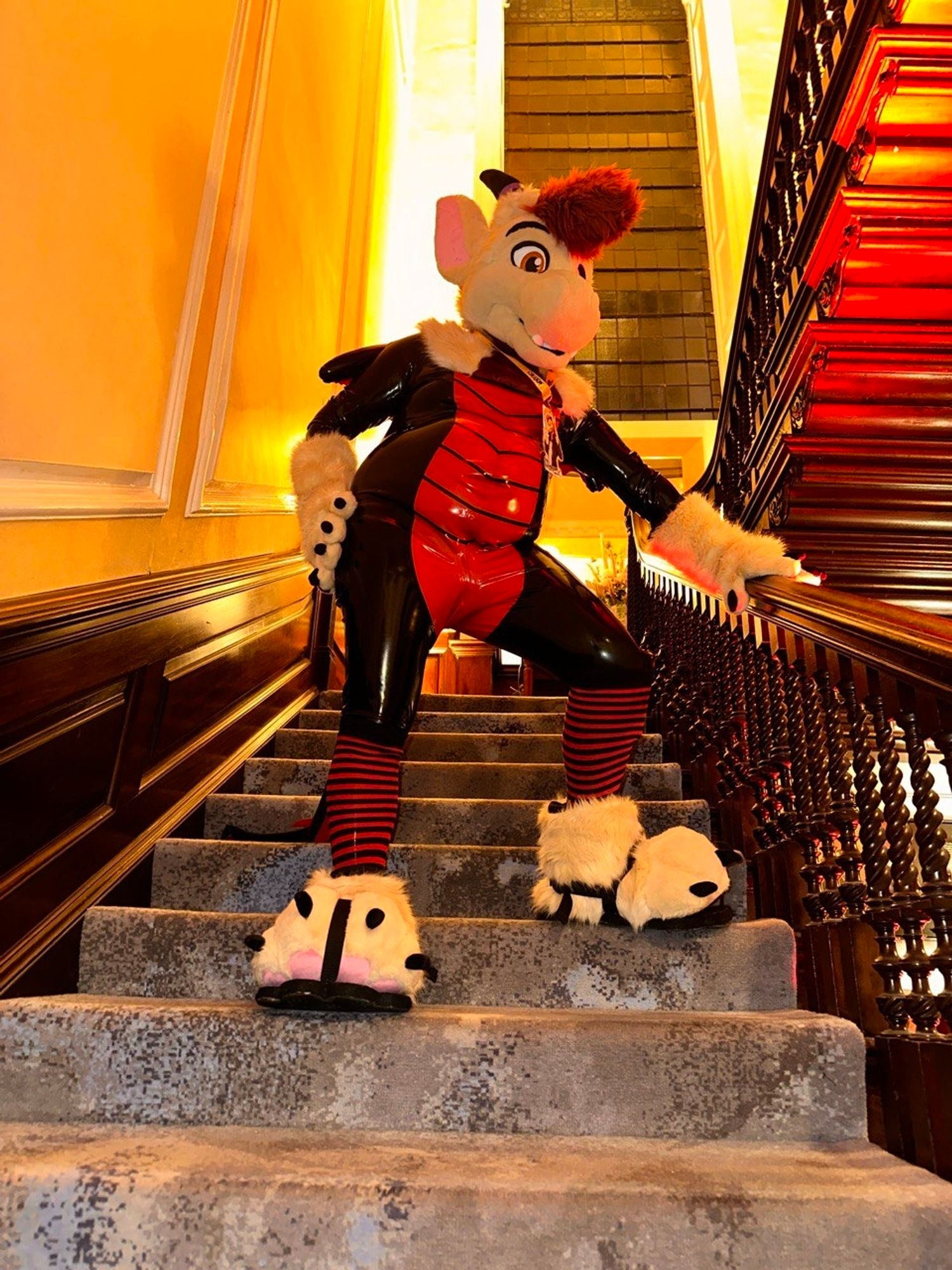 Photo of Doveux the dragon in black and red latex suit with red striped socks stood on the stairs with his cream feet and hand paws, and fursuit head.