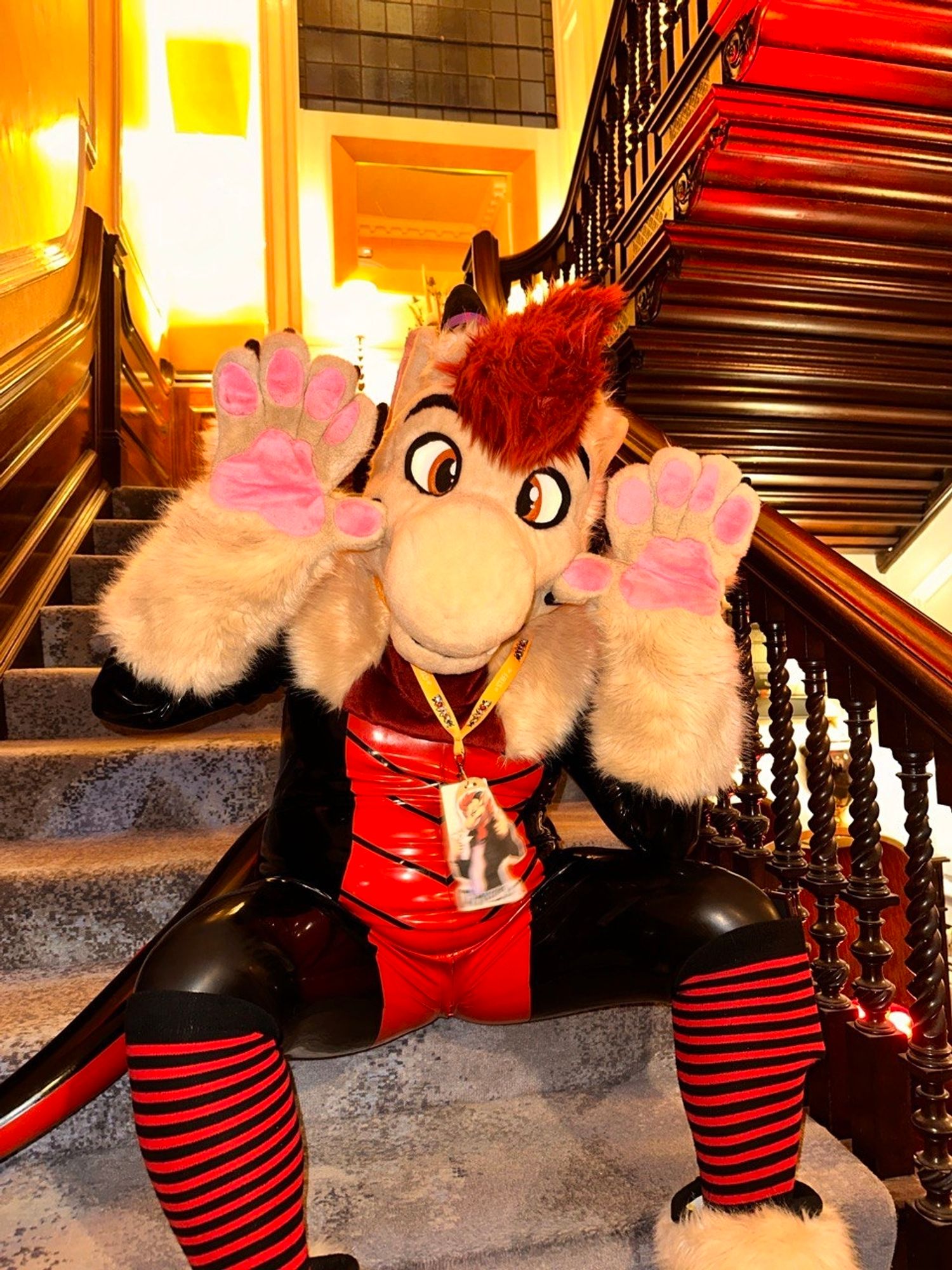 Photo of Doveux the dragon in black and red latex suit with red striped socks sat on the stairs with with his cream paws facing the camera, and fursuit head.