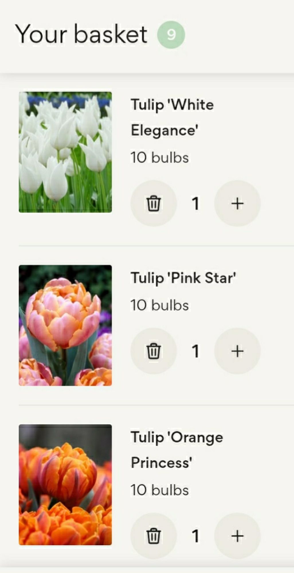 Tulips White Elegance, Pink Star and Orange Princess