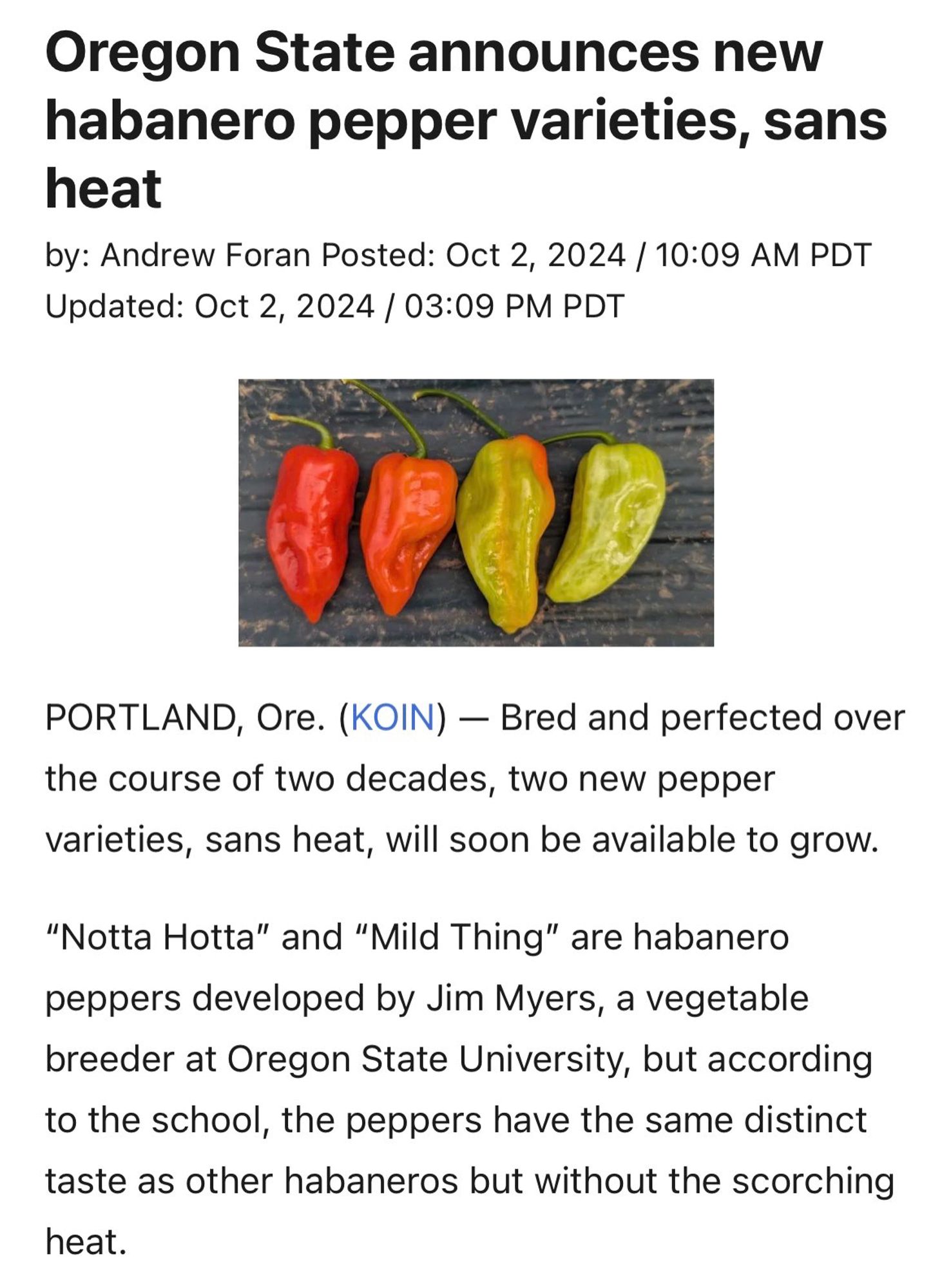 Oregon State announces new habanero pepper varieties, sans heat
by: Andrew Foran Posted: Oct 2, 2024 / 10:09 AM PDT
Updated: Oct 2, 2024 / 03:09 PM PDT
PORTLAND, Ore. (KOIN) - Bred and perfected over the course of two decades, two new pepper
varieties, sans heat, will soon be available to grow.
"Notta Hotta" and "Mild Thing" are habanero peppers developed by Jim Myers, a vegetable breeder at Oregon State University, but according to the school, the peppers have the same distinct taste as other habaneros but without the scorching heat.