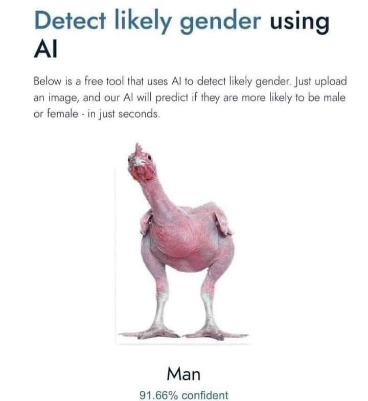 Detect likely gender using
AlI
Below is a free tool that uses Al to detect likely gender. Just upload an image, and our Al will predict if they are more likely to be male or female - in just seconds.
Man
91.66% confident (it’s a featherless chicken)