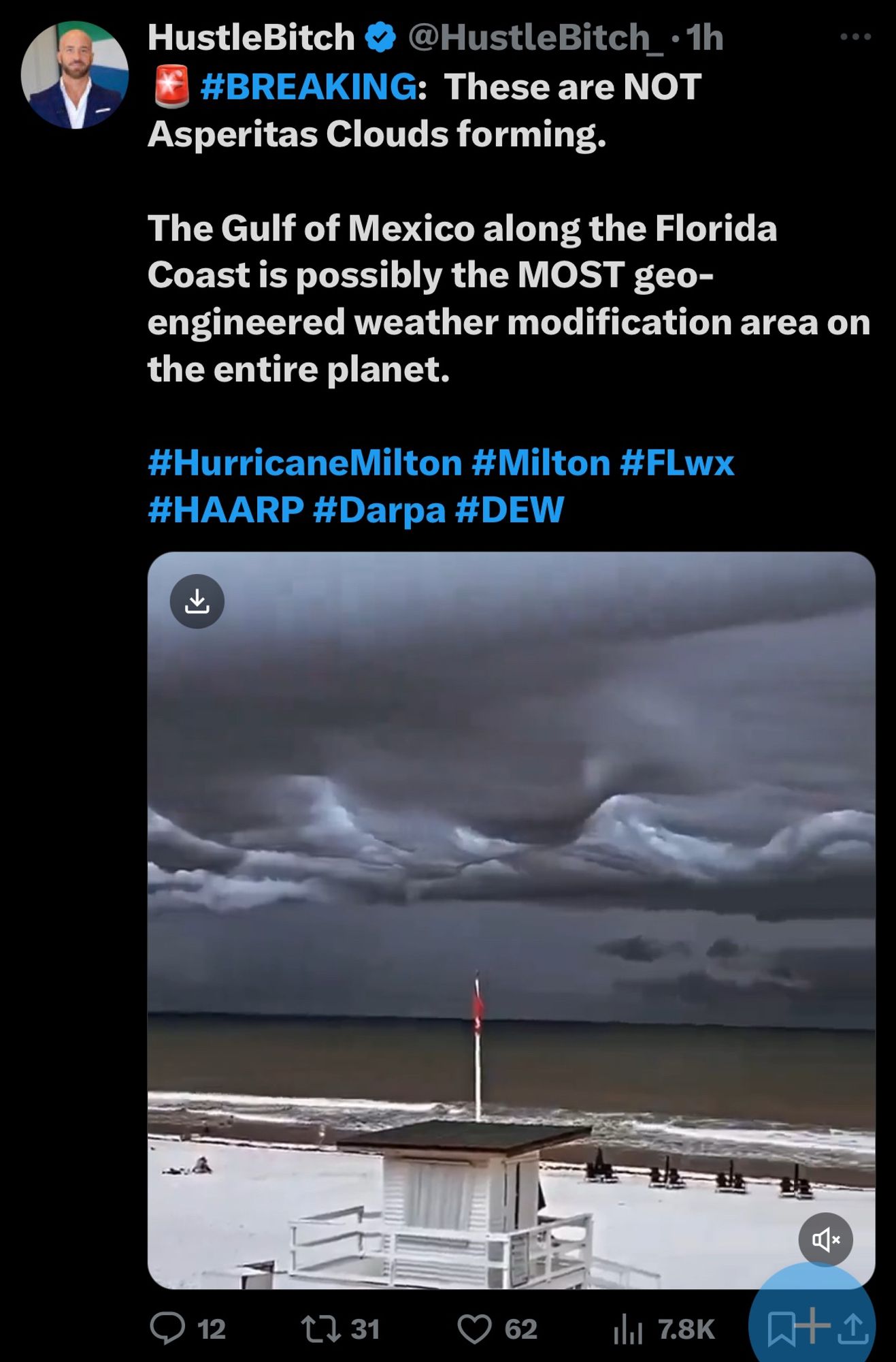 HustleBitch
@HustleBitch_• 1h
* #BREAKING: These are NOT
Asperitas Clouds forming.
...
The Gulf of Mexico along the Florida Coast is possibly the MOST geo-engineered weather modification area on the entire planet.
#HurricaneMilton #Milton #FLwx
#HAARP #Darpa #DEW

photo of clouds that are now a conspiracy theory