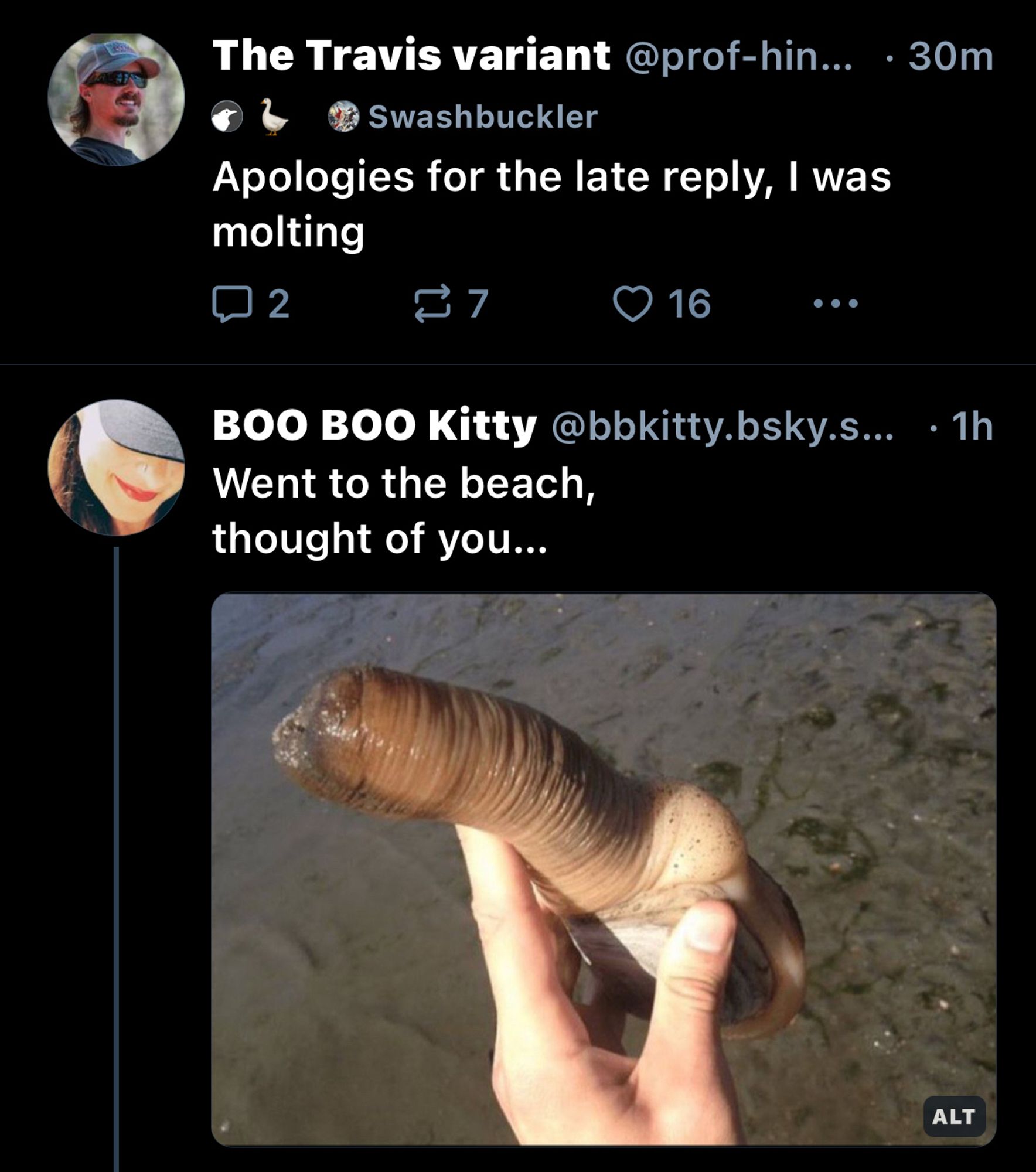 The Travis variant: Apologies for the late reply, I was molting

BOO BOO Kitty: Went to the beach, thought of you... [pic of foreskin heavy sea slug]