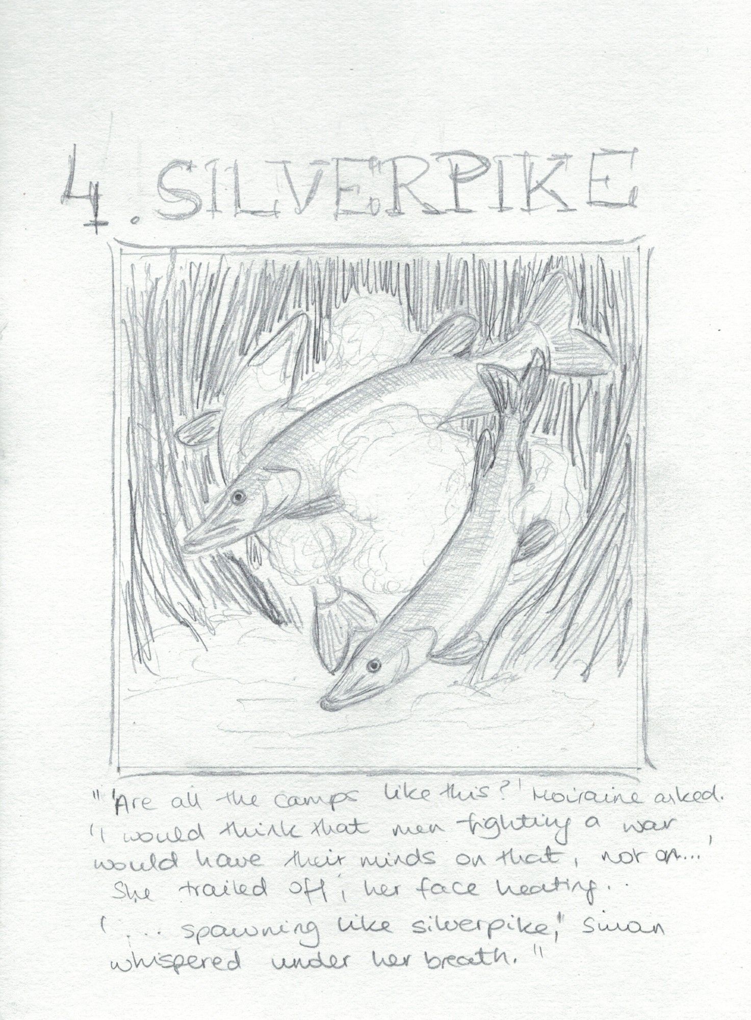 Pencil sketch of spawning silverpike (as in the plain silvery variant of pike) There are 3 fish surrounded by dense vegetation. They are long-bodied, long-jawed with a pronounced underbite, large eyes, and dorsal fin positioned far back.

The female, in the middle, is swimming leisurely towards the bottom left, between two very excited males. One is swimming upwards behind her, his body curved and showing us his underside. The other is on the near side and slightly below her, his body gently curved in the opposite direction, so the two almost form a bracket. Between the two males, obscuring some of the female's midsection, are large pale clouds of fish jizz.

Also roughly pencilled in, there's a large handwritten title. "4. Silverpike," & a quote at the bottom: 

'Are all the camps like this?' Moiraine asked. 'I would think that men fighting a war would have their minds on that, not on...' She trailed off, face heating.

'...spawning like silverpike,' Siuan whispered under her breath.