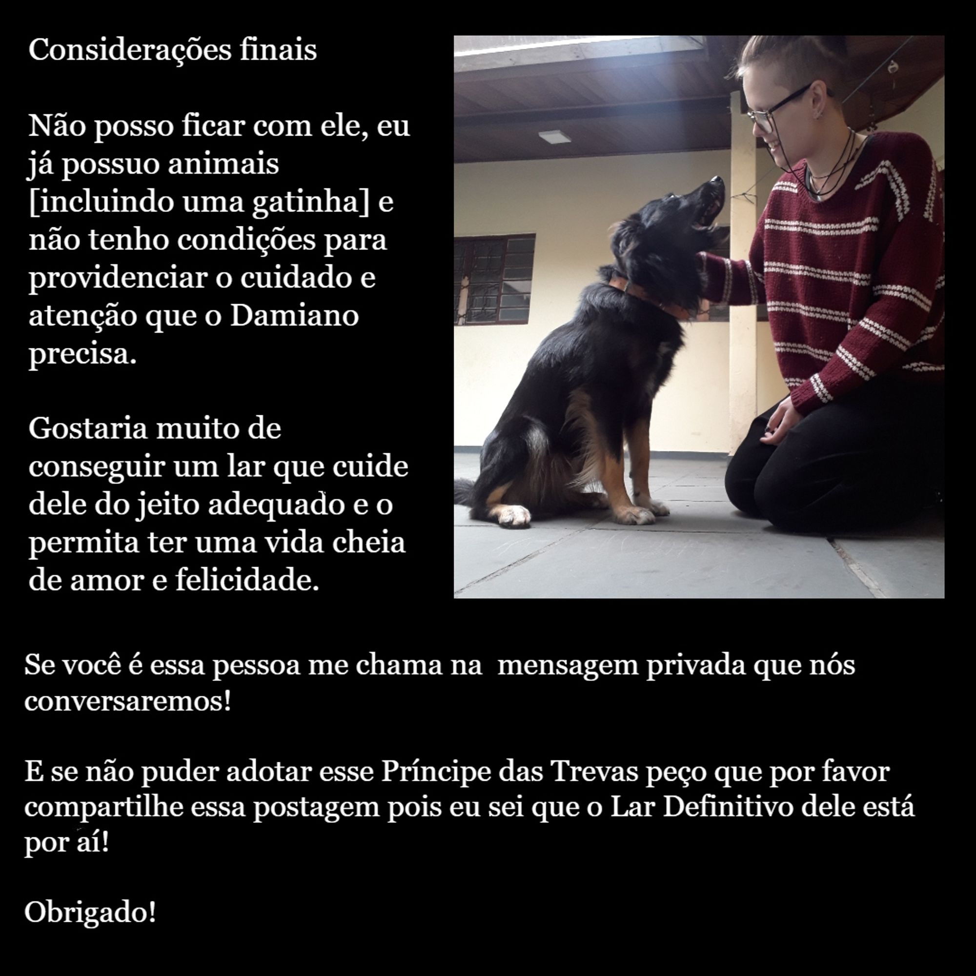 Considerações finais

Não posso ficar com ele, eu já possuo animais [incluindo uma gatinha] e não tenho condições para providenciar o cuidado e atenção que o Damiano precisa.
Gostaria muito de conseguir um lar que cuide dele do jeito adequado e o permita ter uma vida cheia de amor e felicidade.
Se vc é essa pessoa me chama na mensagem privada que nós conversaremos! Se não puder, por favor compartilhe esse post!