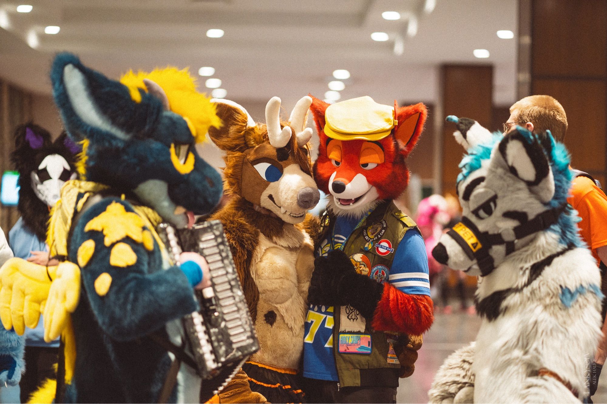 4 fursuiters, one playing the accordion and 3 others listening. Characters are jad, snooze, karazu, and locksley