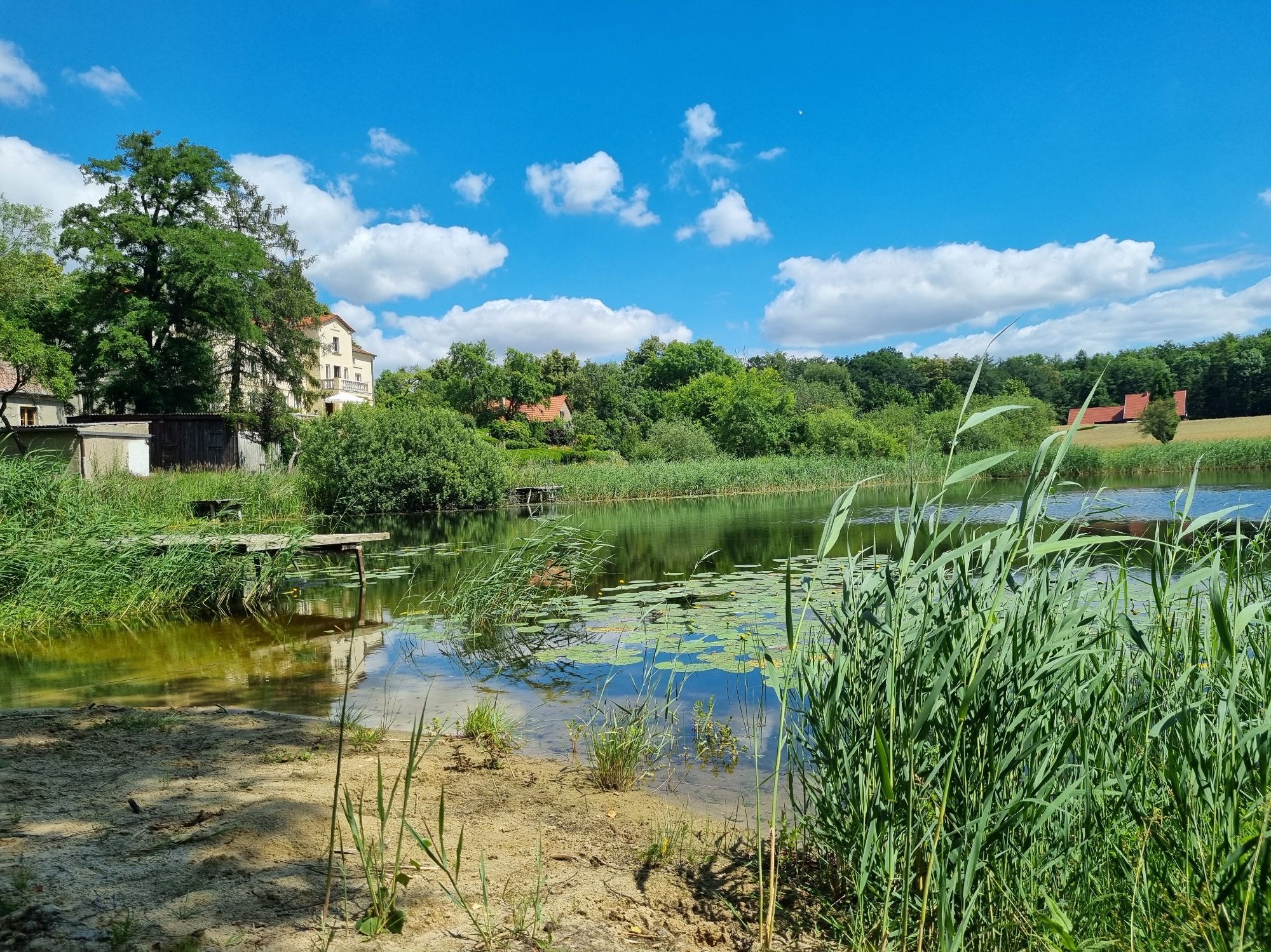 Ein See mit Sand, Schilf, links ein Steg  im Hintergrund ein Haus, blauer Himmel mit wenigen Wolken.