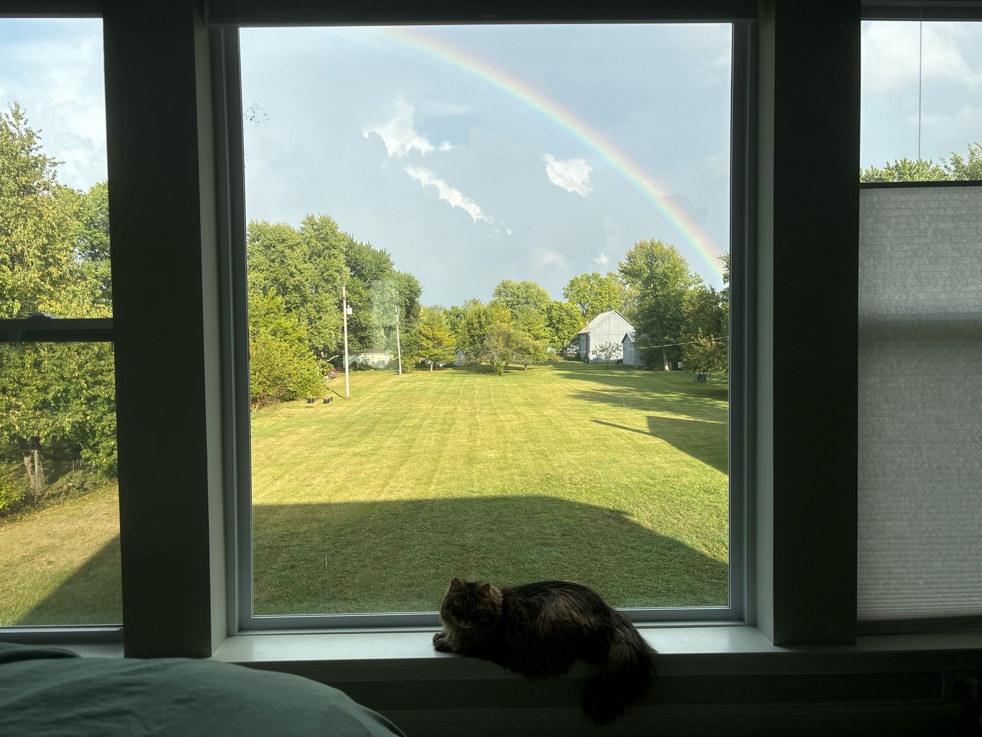 Rainbow over a green back yard