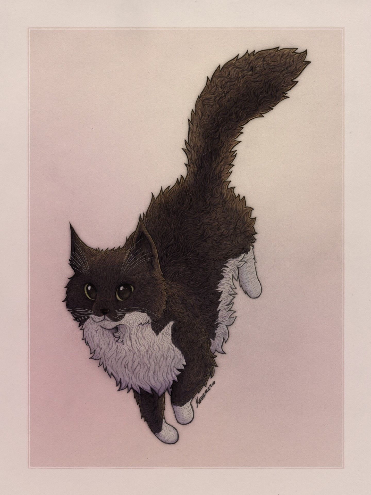 A drawn portrait of a black-and-white longhaired cat.